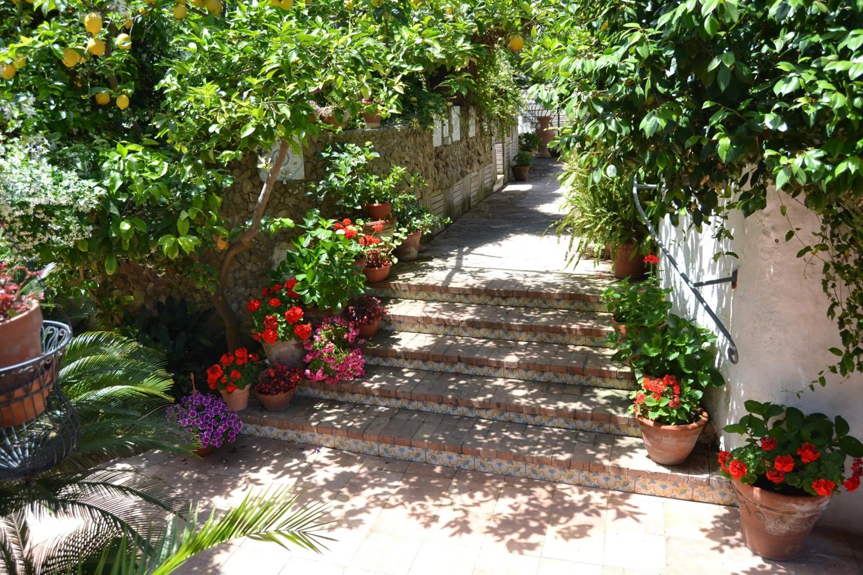 Garden in Piccolo Tirreno Hotel Residence