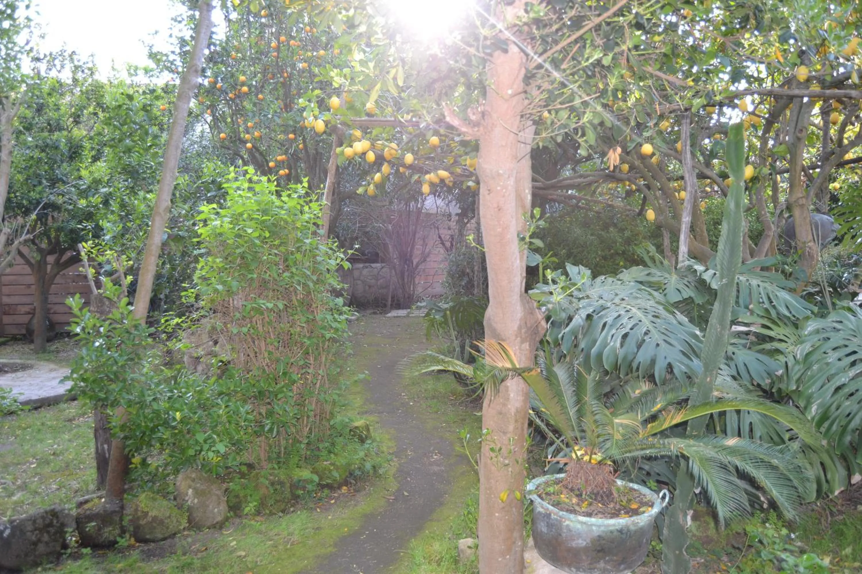 Garden in Piccolo Tirreno Hotel Residence