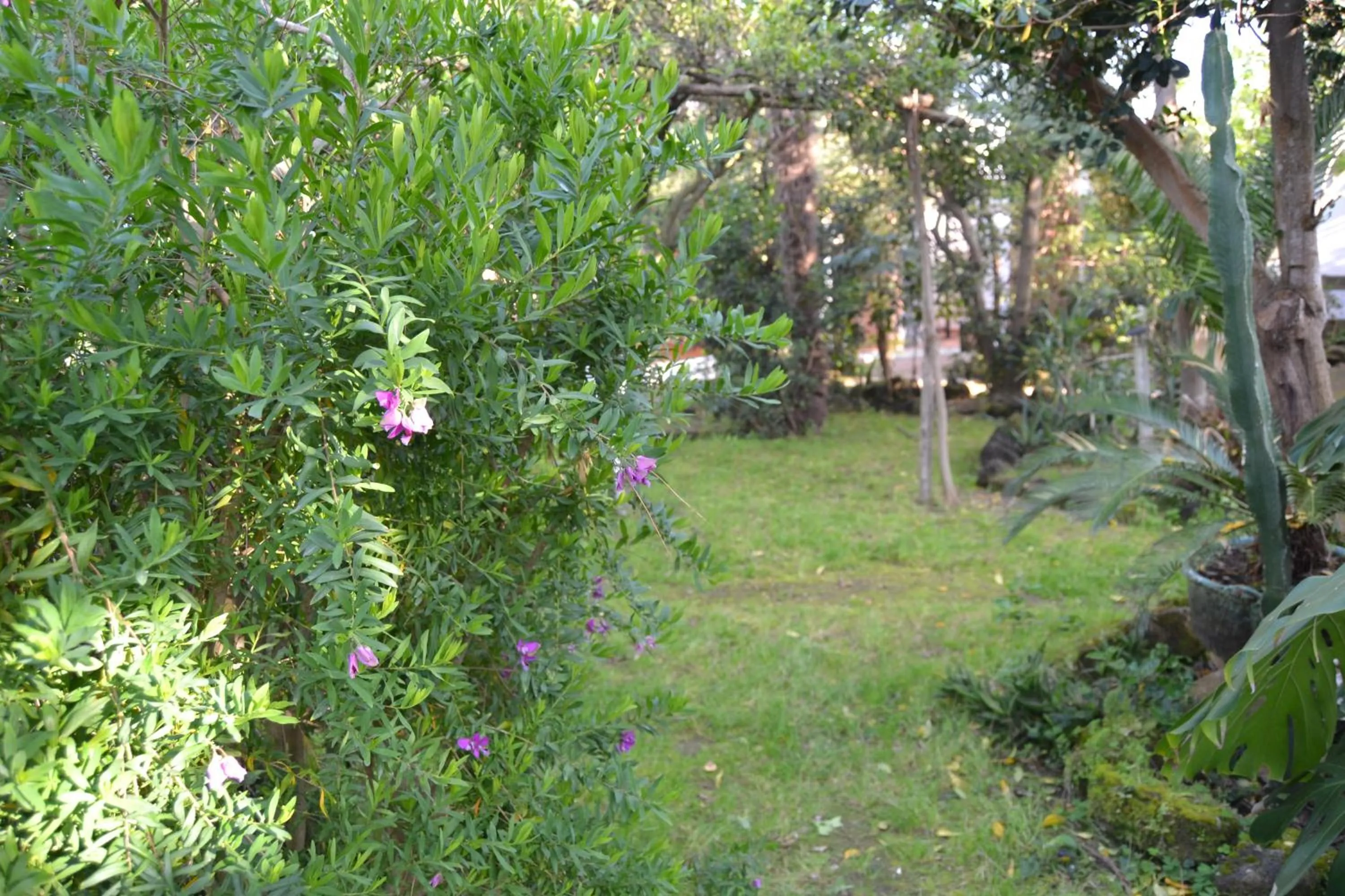 Garden in Piccolo Tirreno Hotel Residence