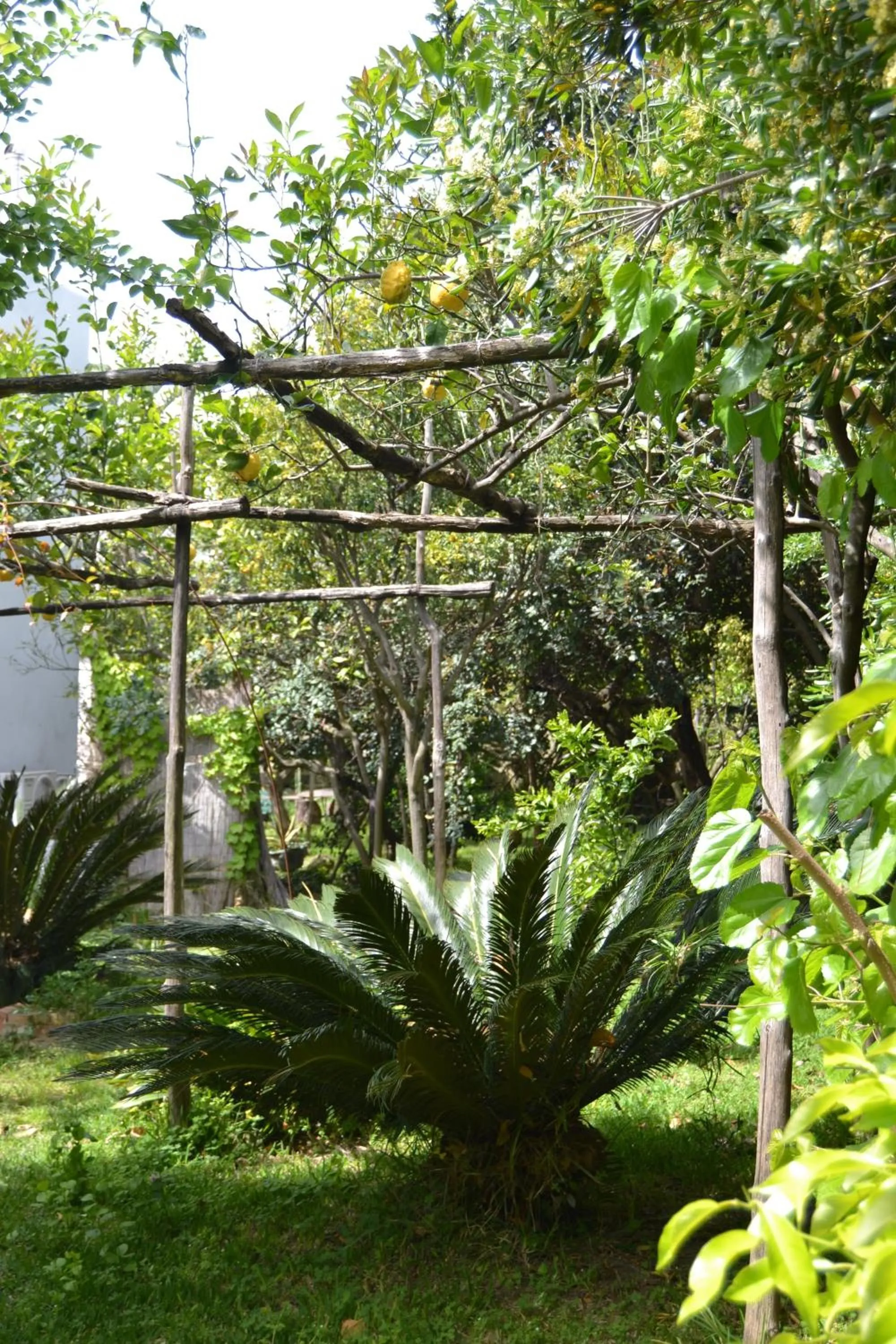 Garden in Piccolo Tirreno Hotel Residence