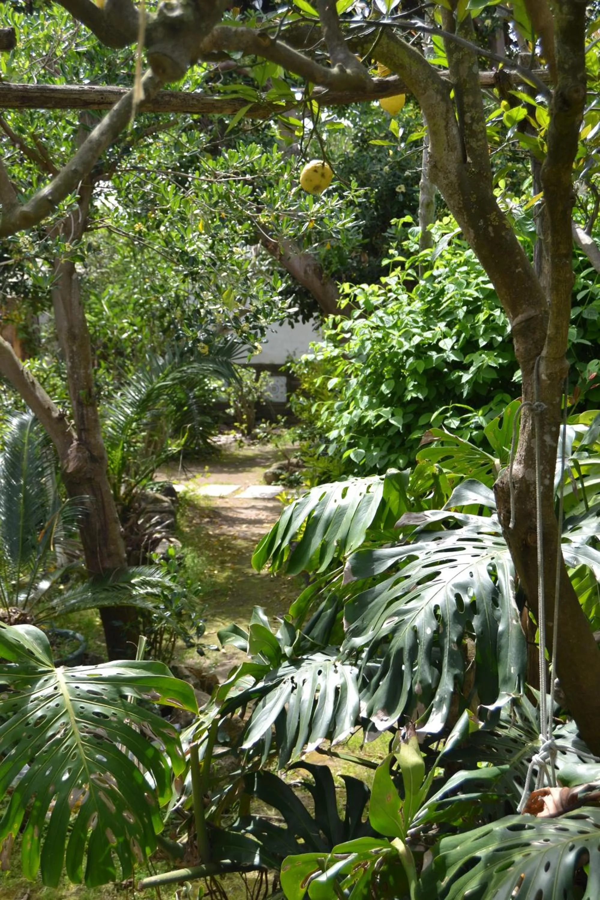 Garden in Piccolo Tirreno Hotel Residence