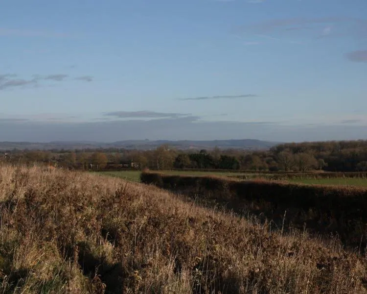 Other in Cherry Orchard Farm