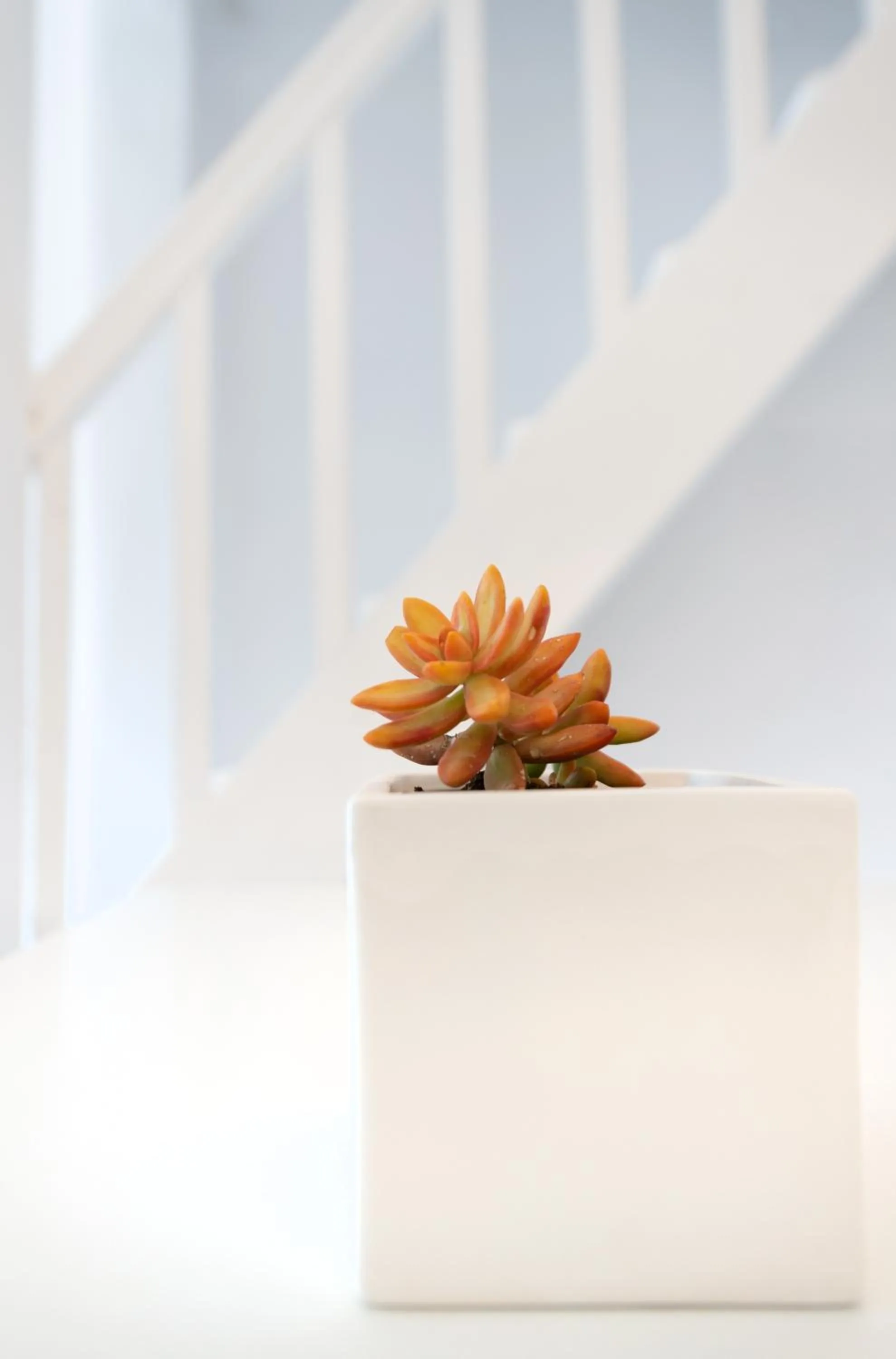 Aeri Villas & Apartments