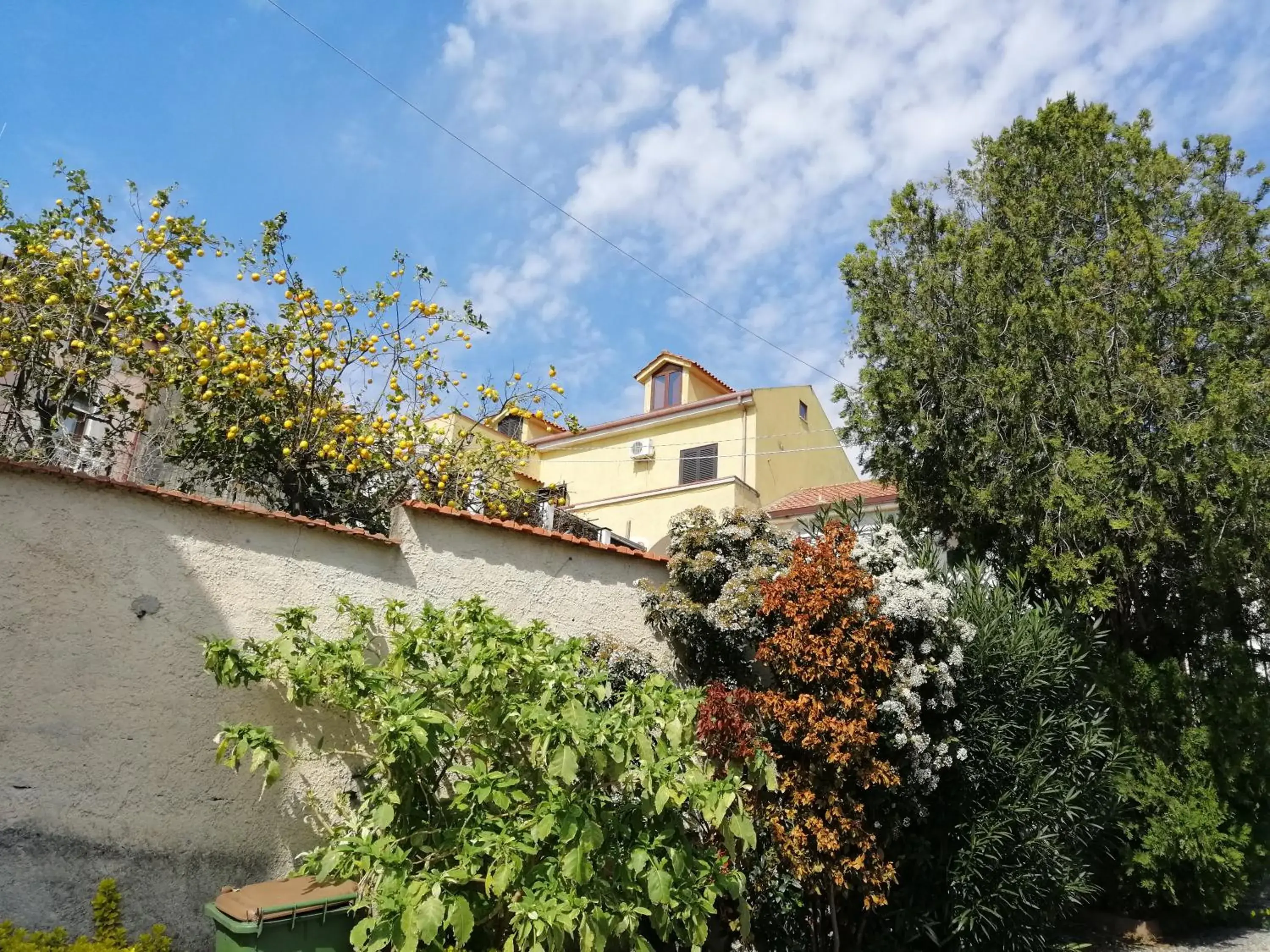 B&B Moscani B&B Moscani