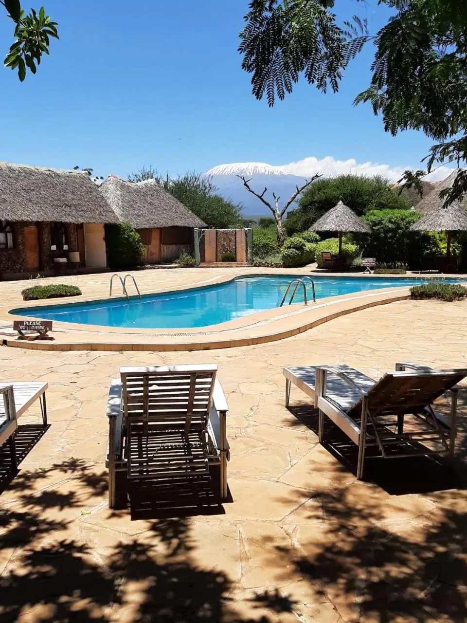 Swimming pool in AA Lodge Amboseli