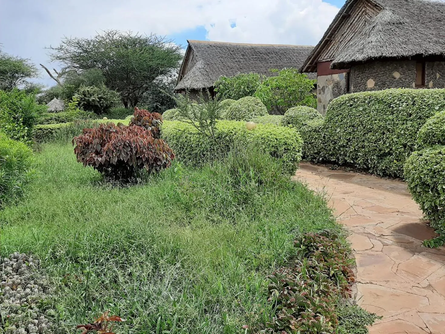 Garden view in AA Lodge Amboseli