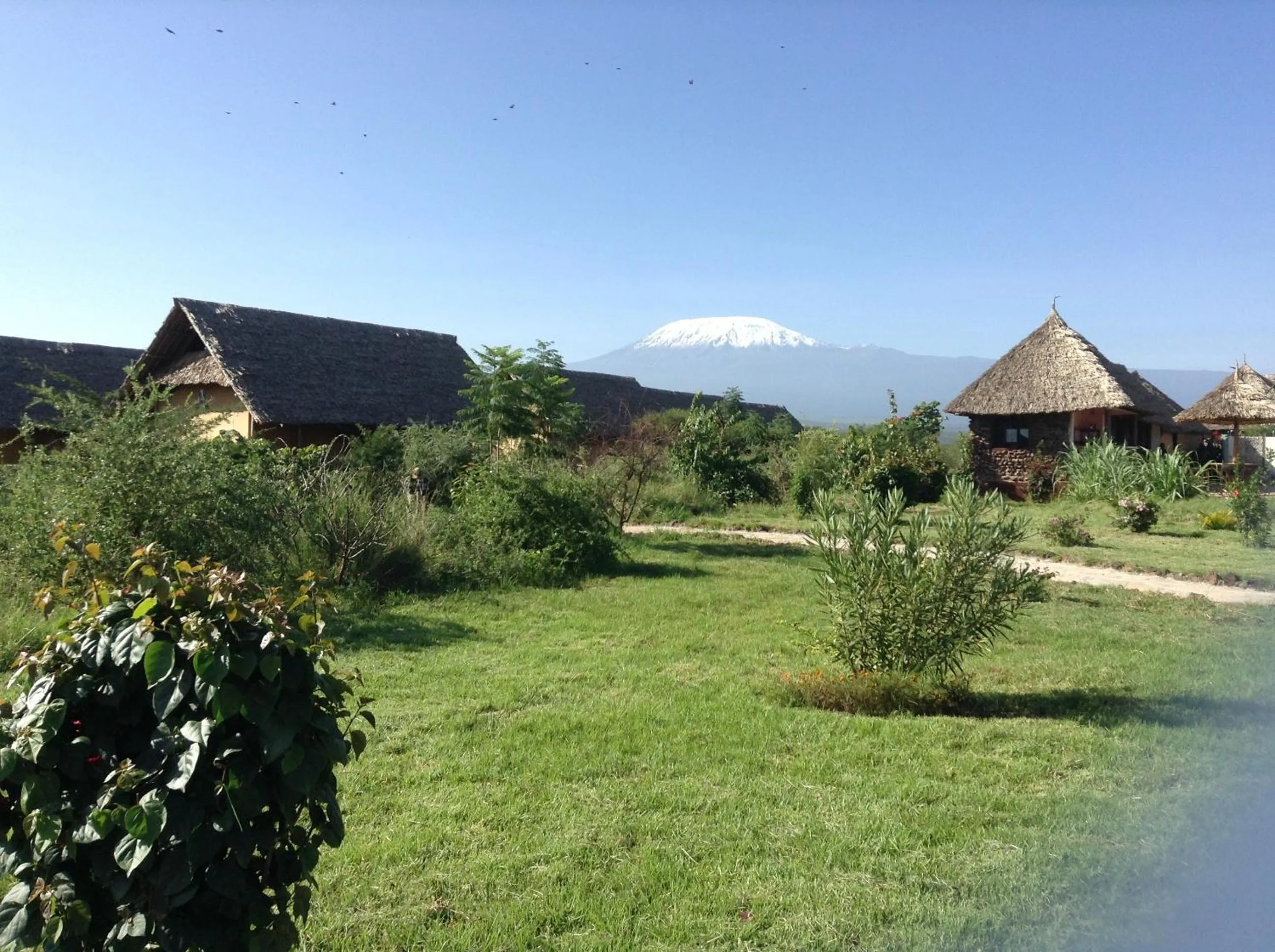 Mountain view in AA Lodge Amboseli