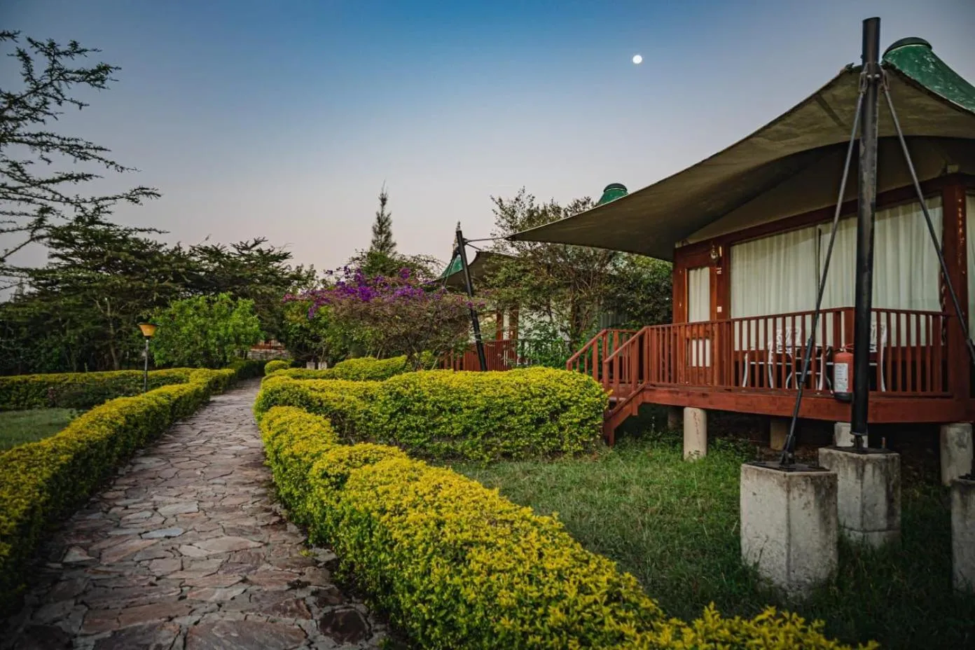 Garden view in AA Lodge Maasai Mara
