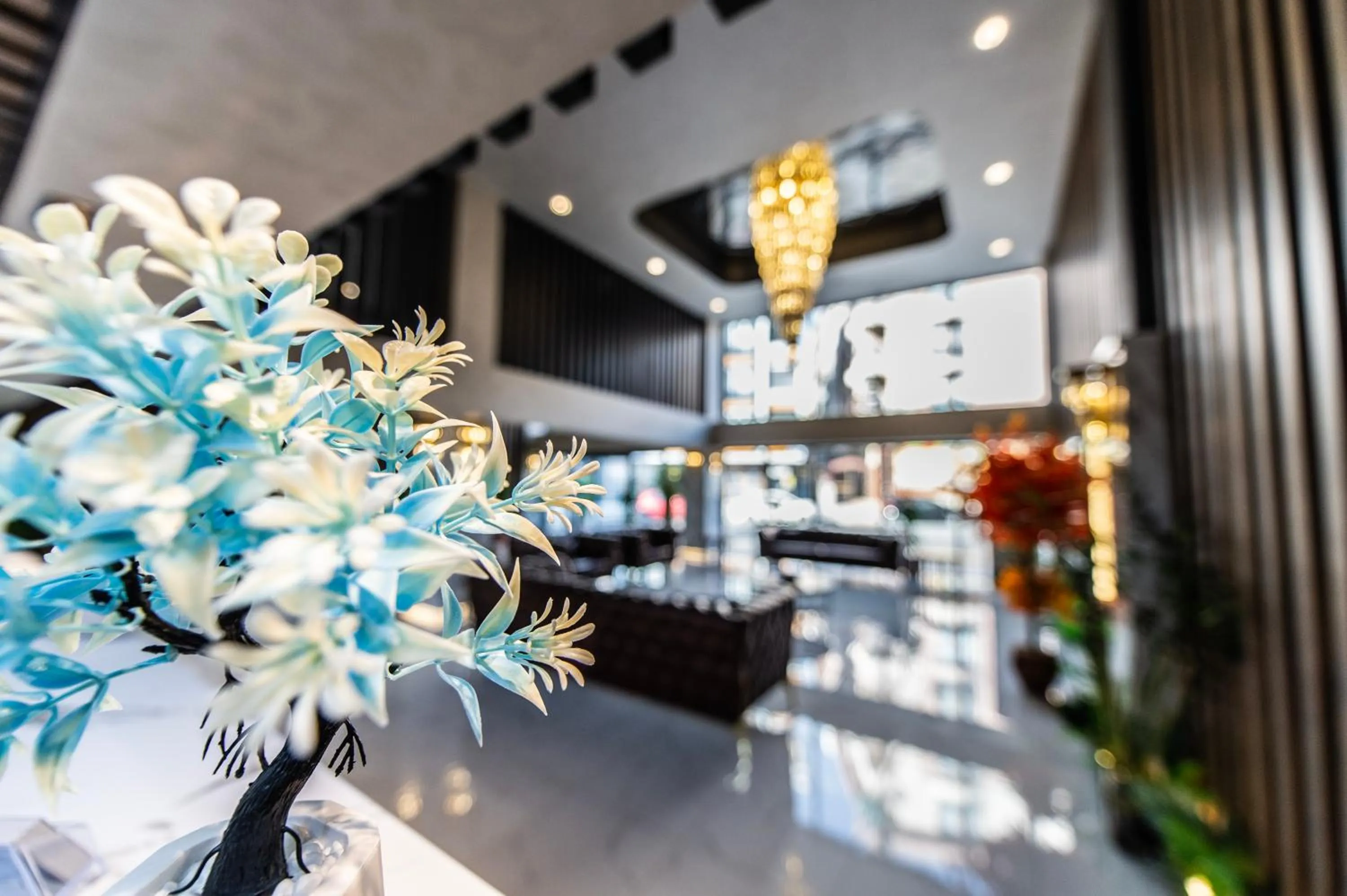 Lobby or reception in Blue Vista Houses & Spa