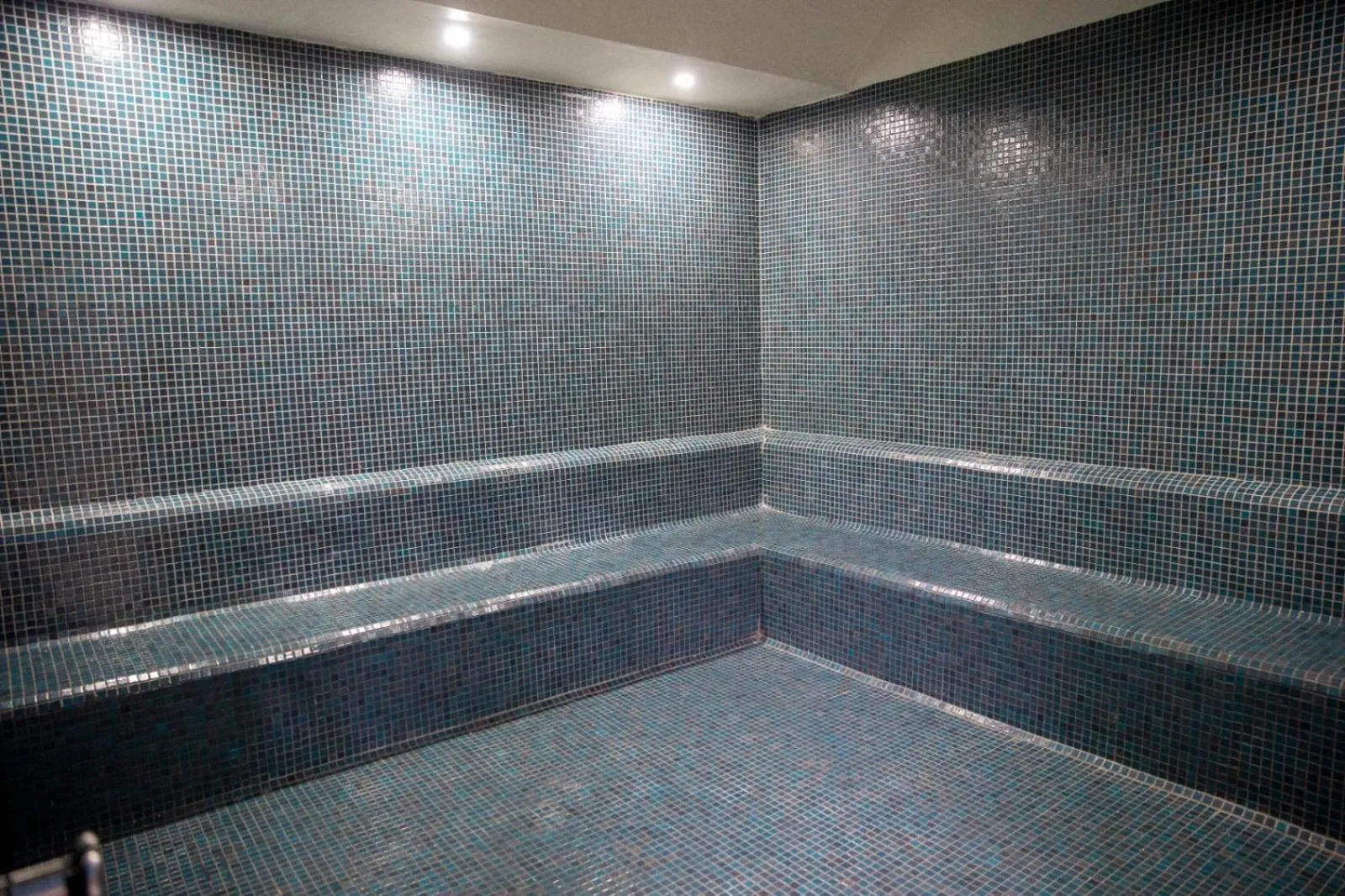 Steam room in Blue Vista Houses & Spa