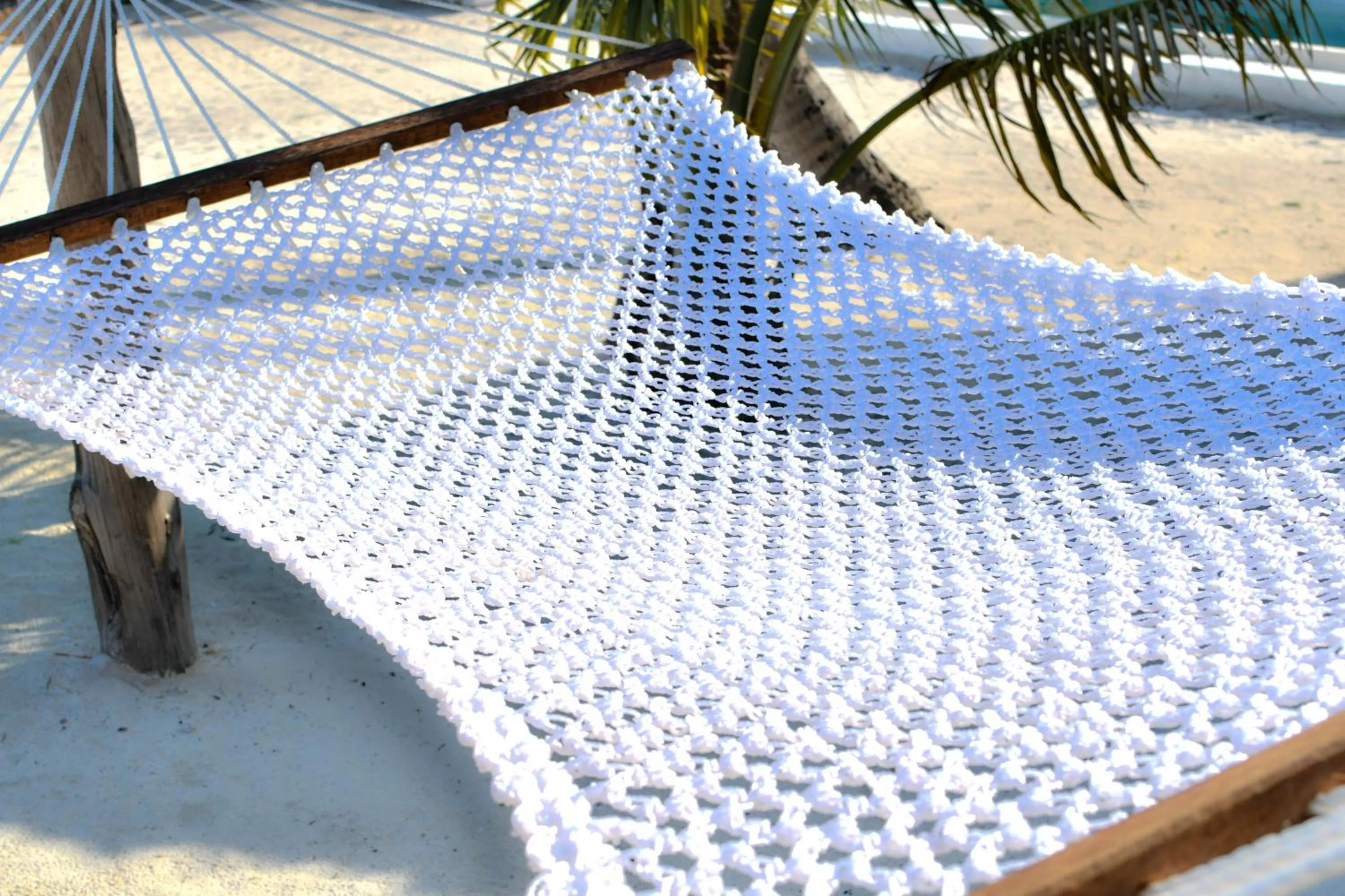 Beach in Coral Bay Zanzibar