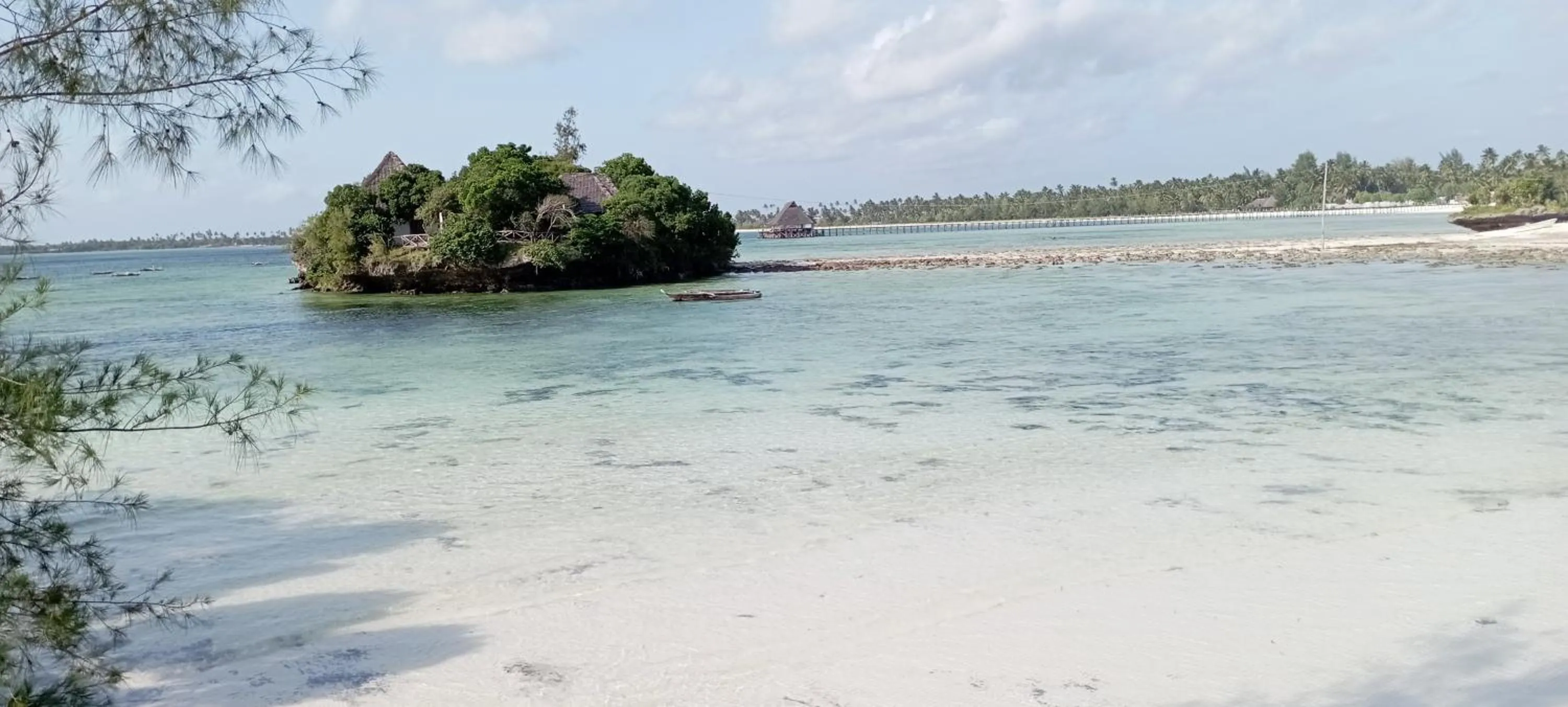 Beach in Coral Bay Zanzibar