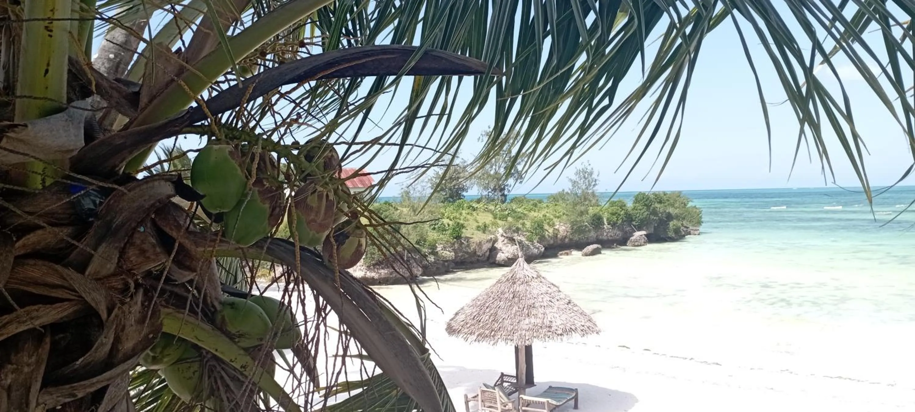 Natural landscape in Coral Bay Zanzibar