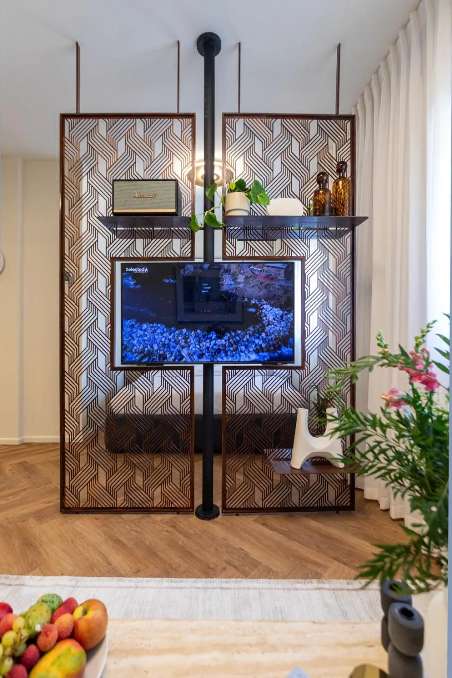 TV and multimedia in De Sheinkin