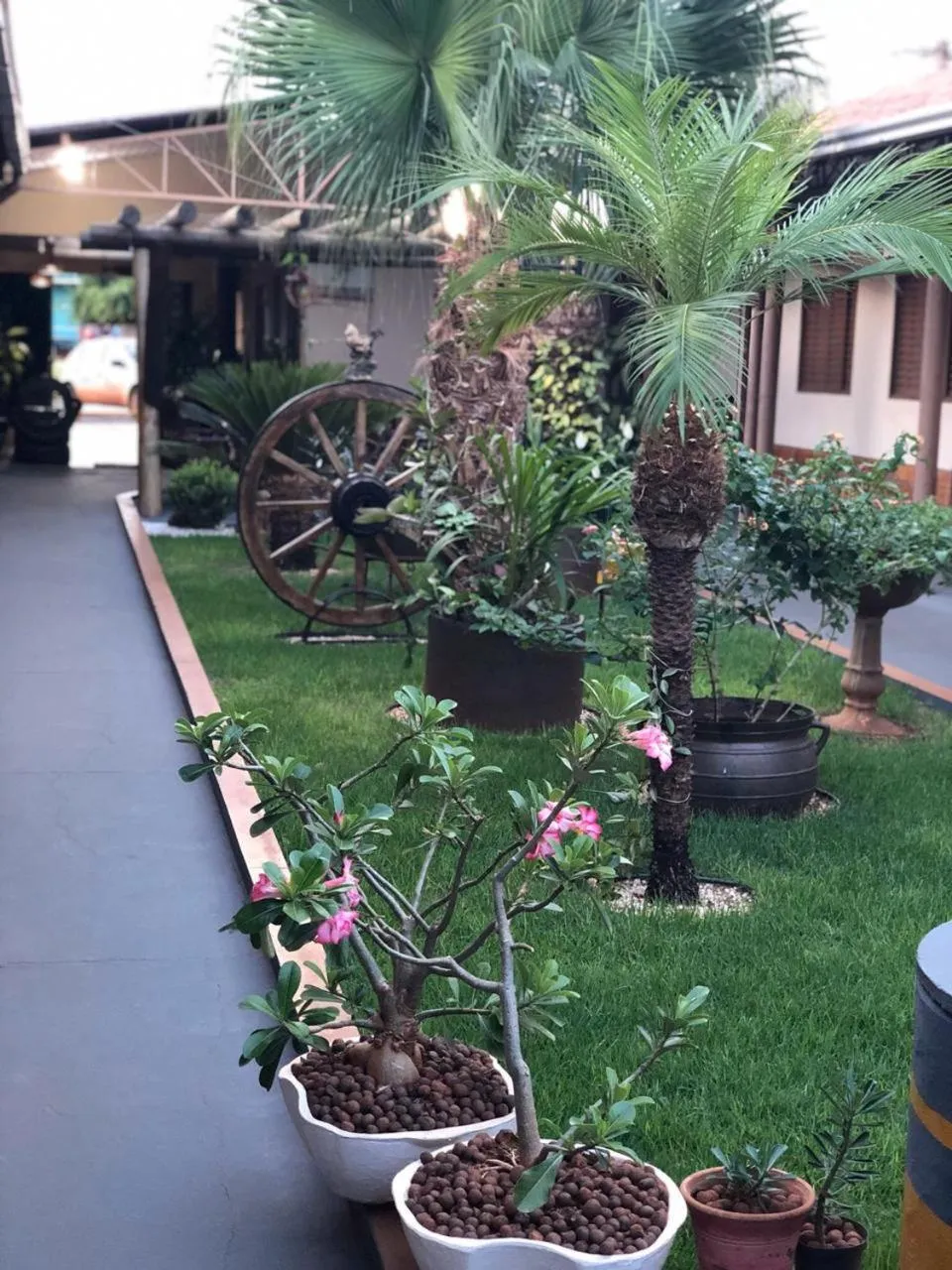 Garden view in Estância Hotel