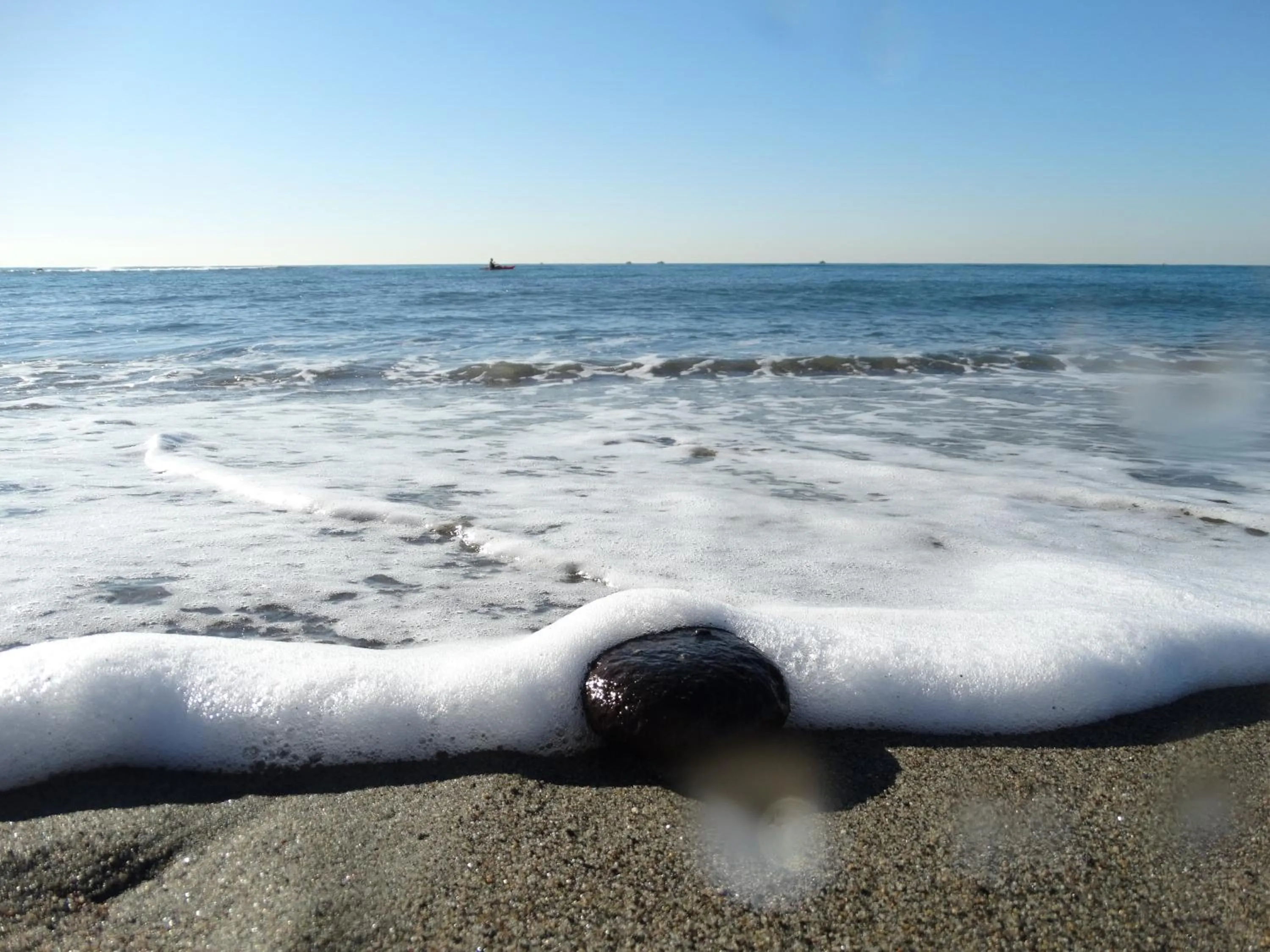 Neighbourhood in Appartamento Lungomare Toscanelli