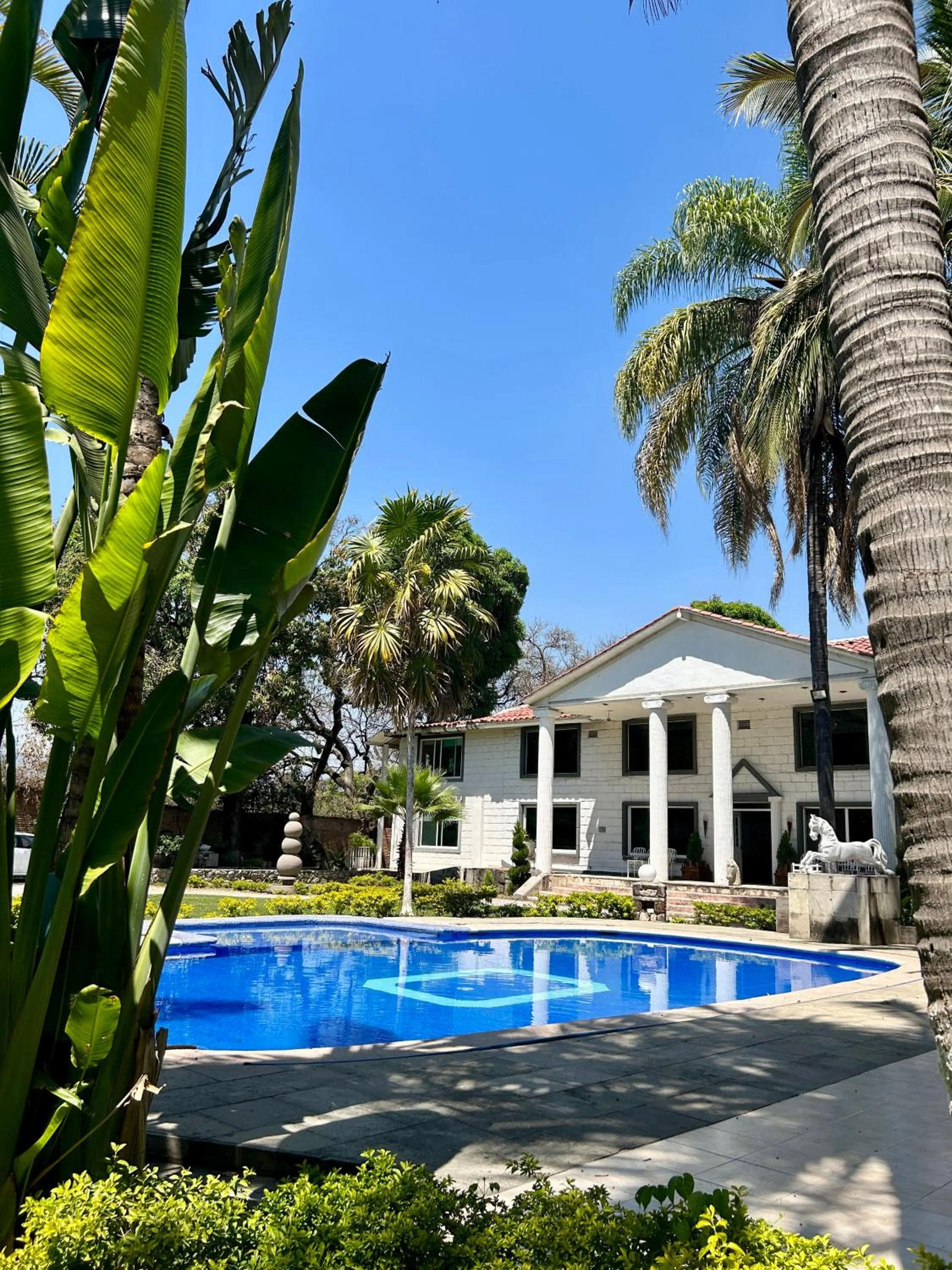 Pool view in Casa De La O Yautepec
