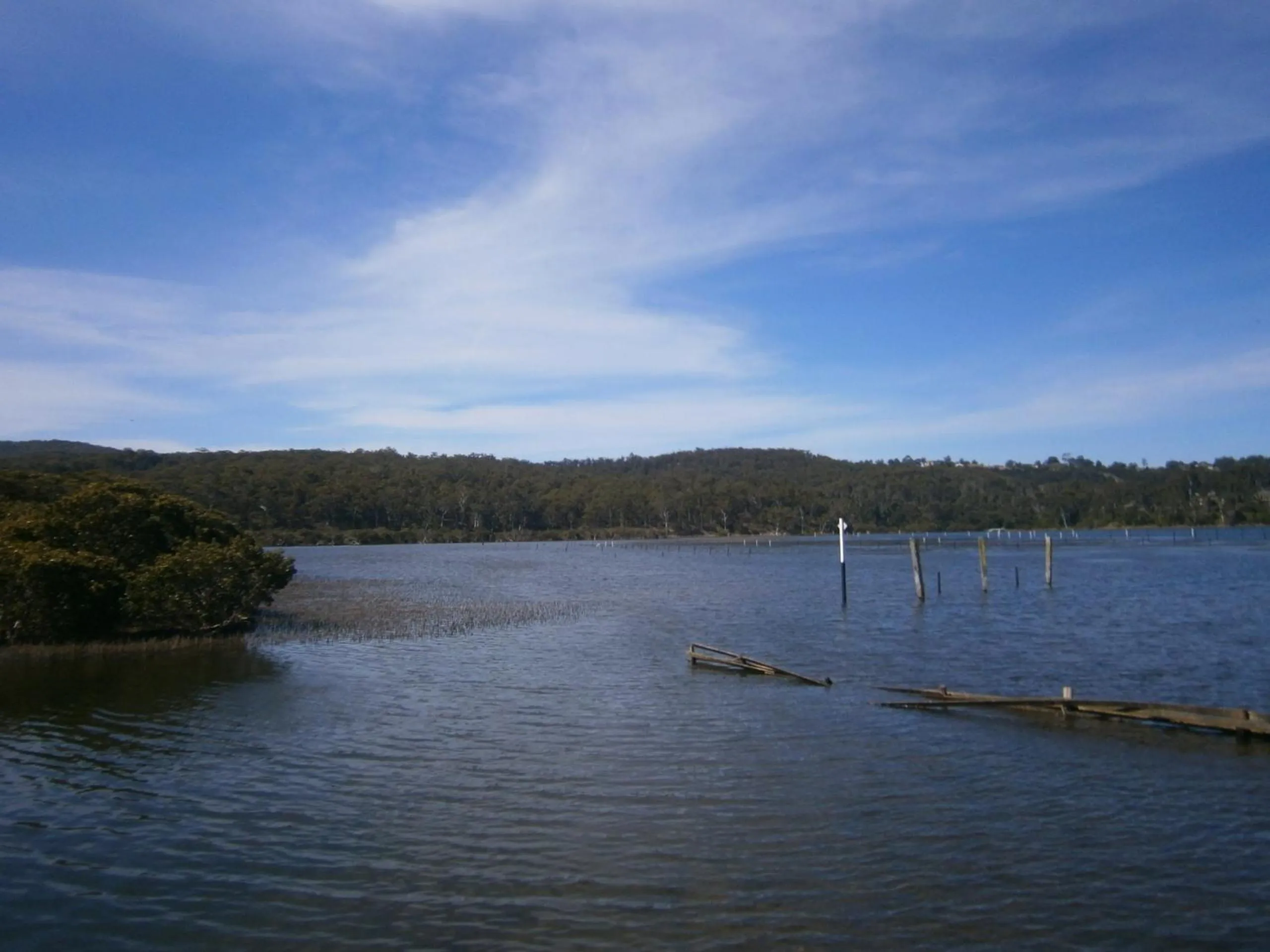 Area and facilities in Top of the Lake Holiday Units