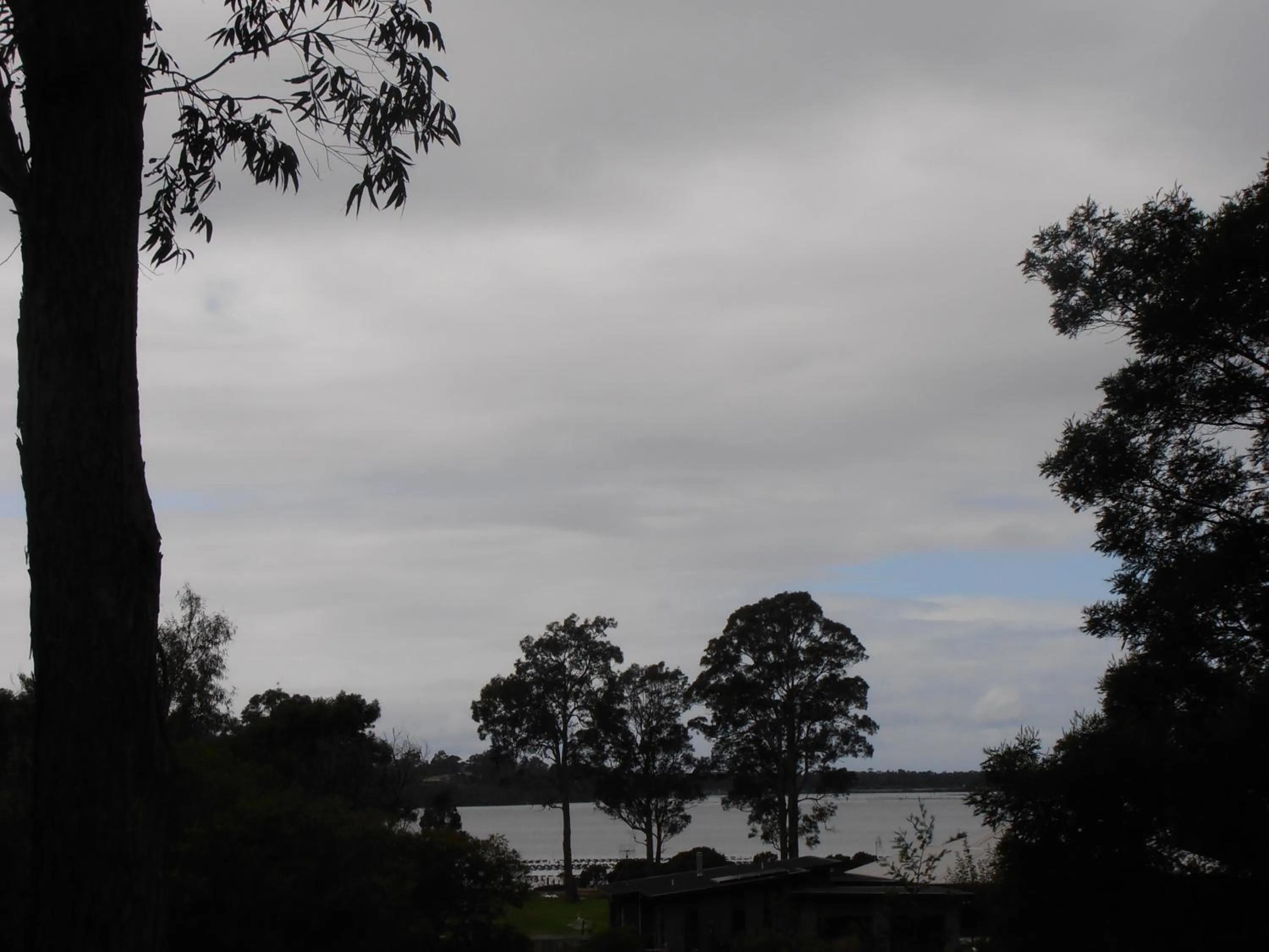 View (from property/room) in Top of the Lake Holiday Units