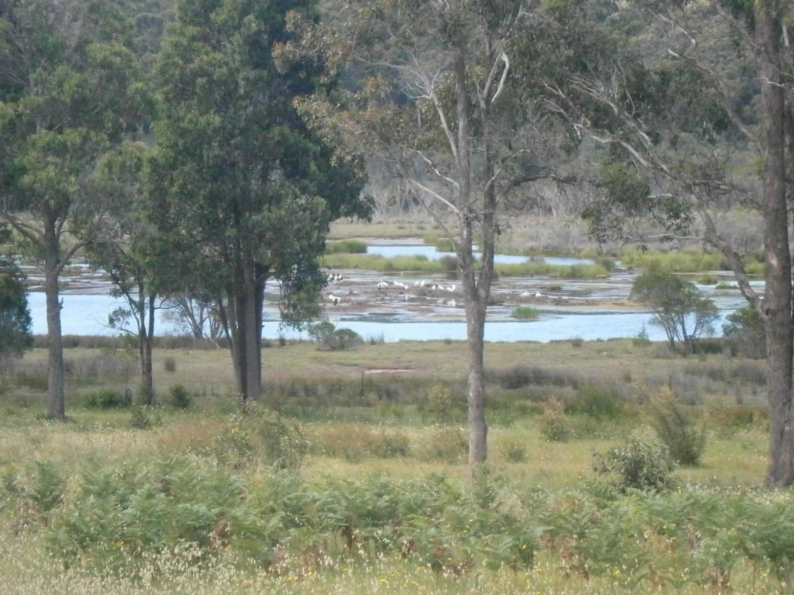 Area and facilities in Top of the Lake Holiday Units