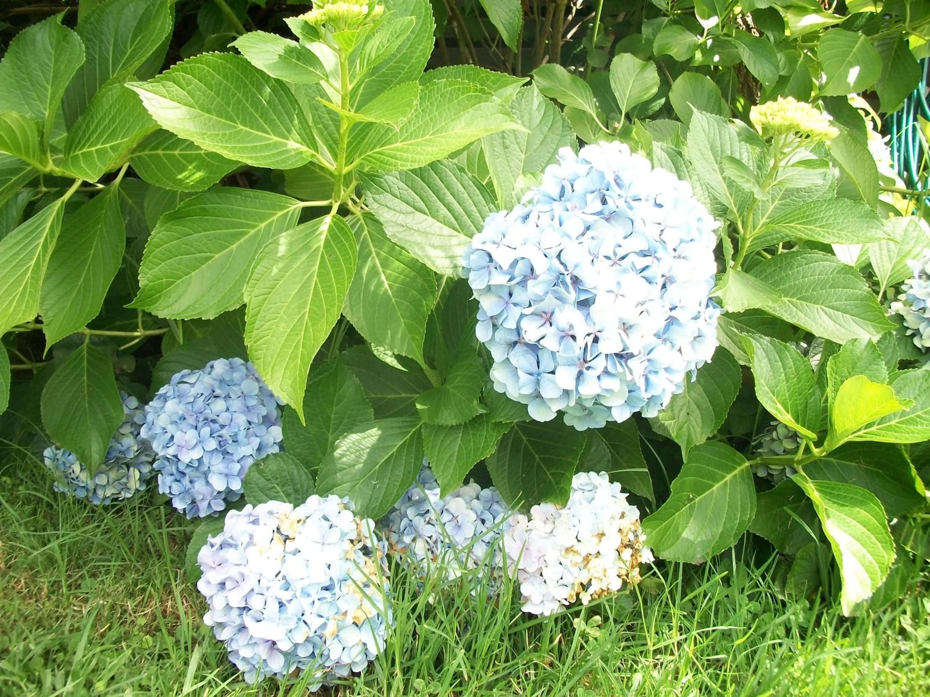 Bird's eye view in Top of the Lake Holiday Units