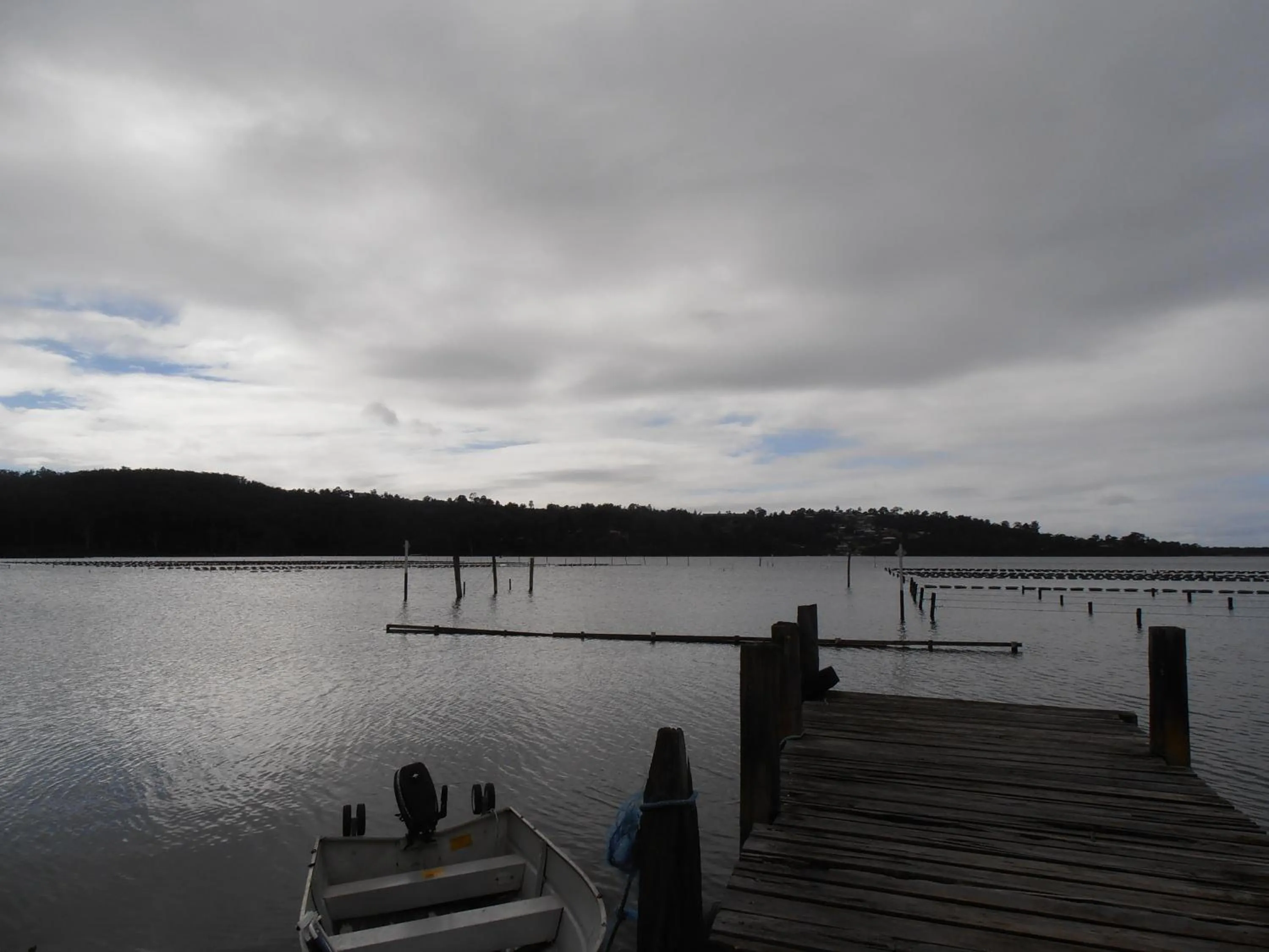 Area and facilities in Top of the Lake Holiday Units