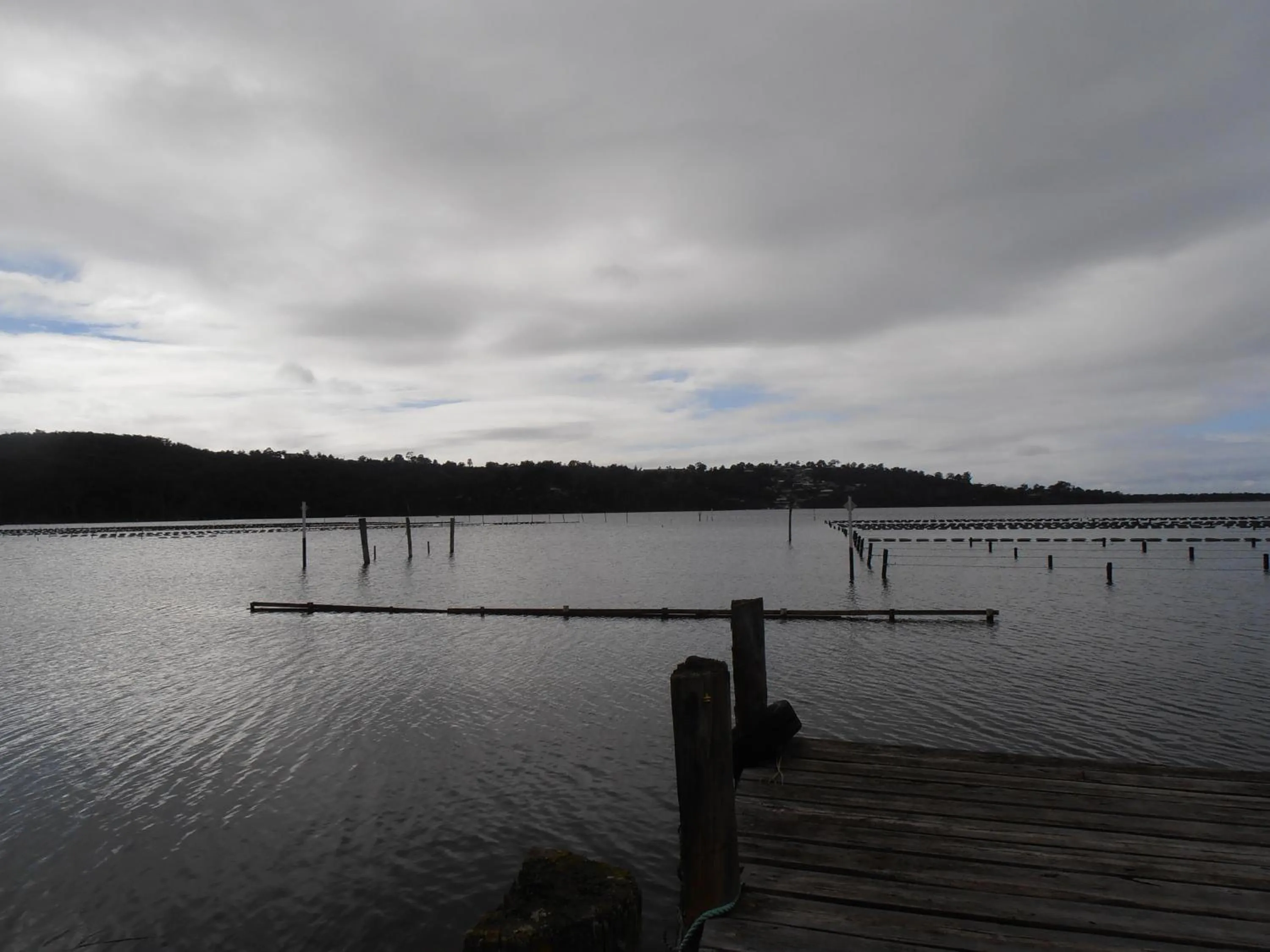 Area and facilities in Top of the Lake Holiday Units
