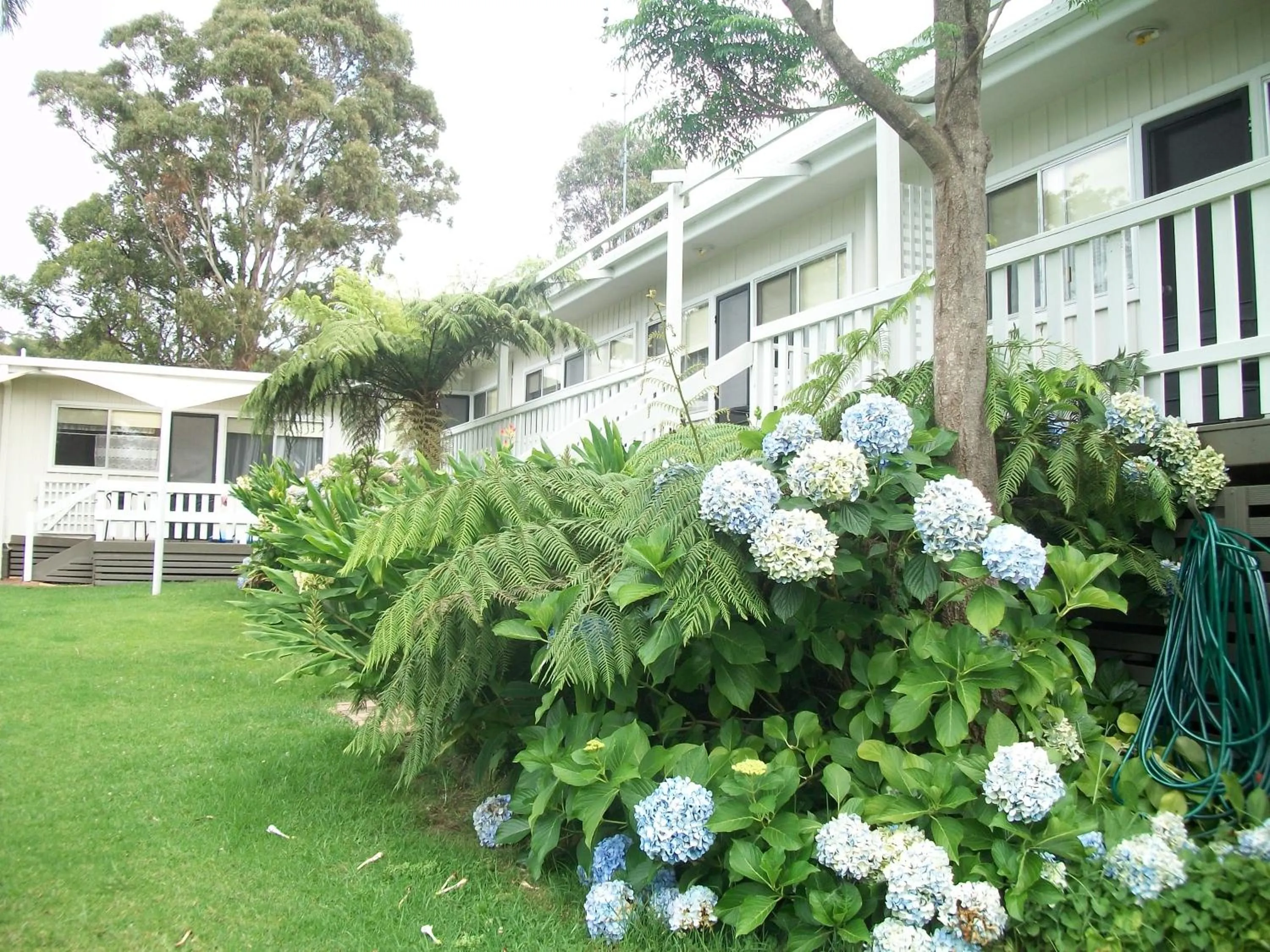 Area and facilities in Top of the Lake Holiday Units