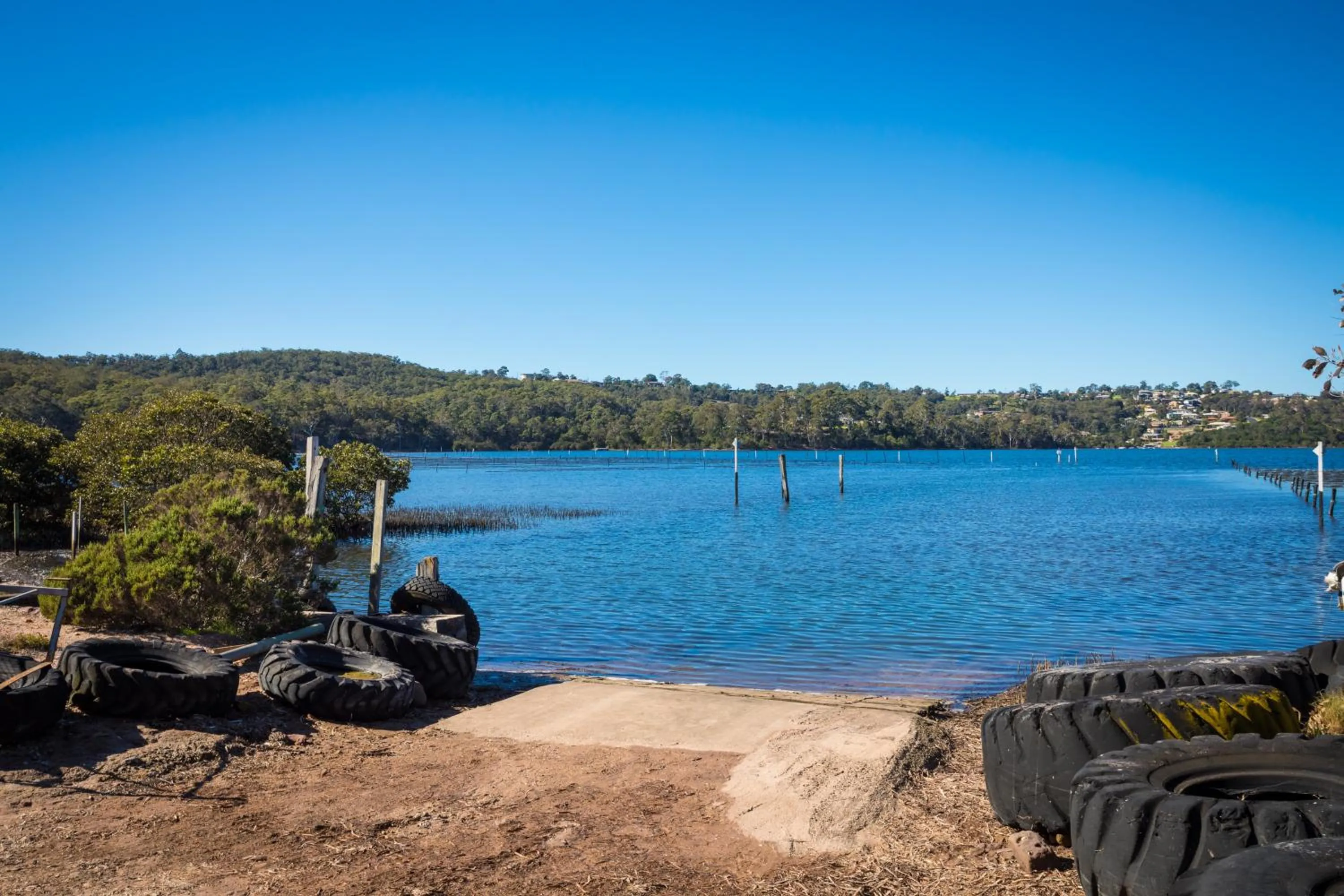 Natural landscape in Top of the Lake Holiday Units