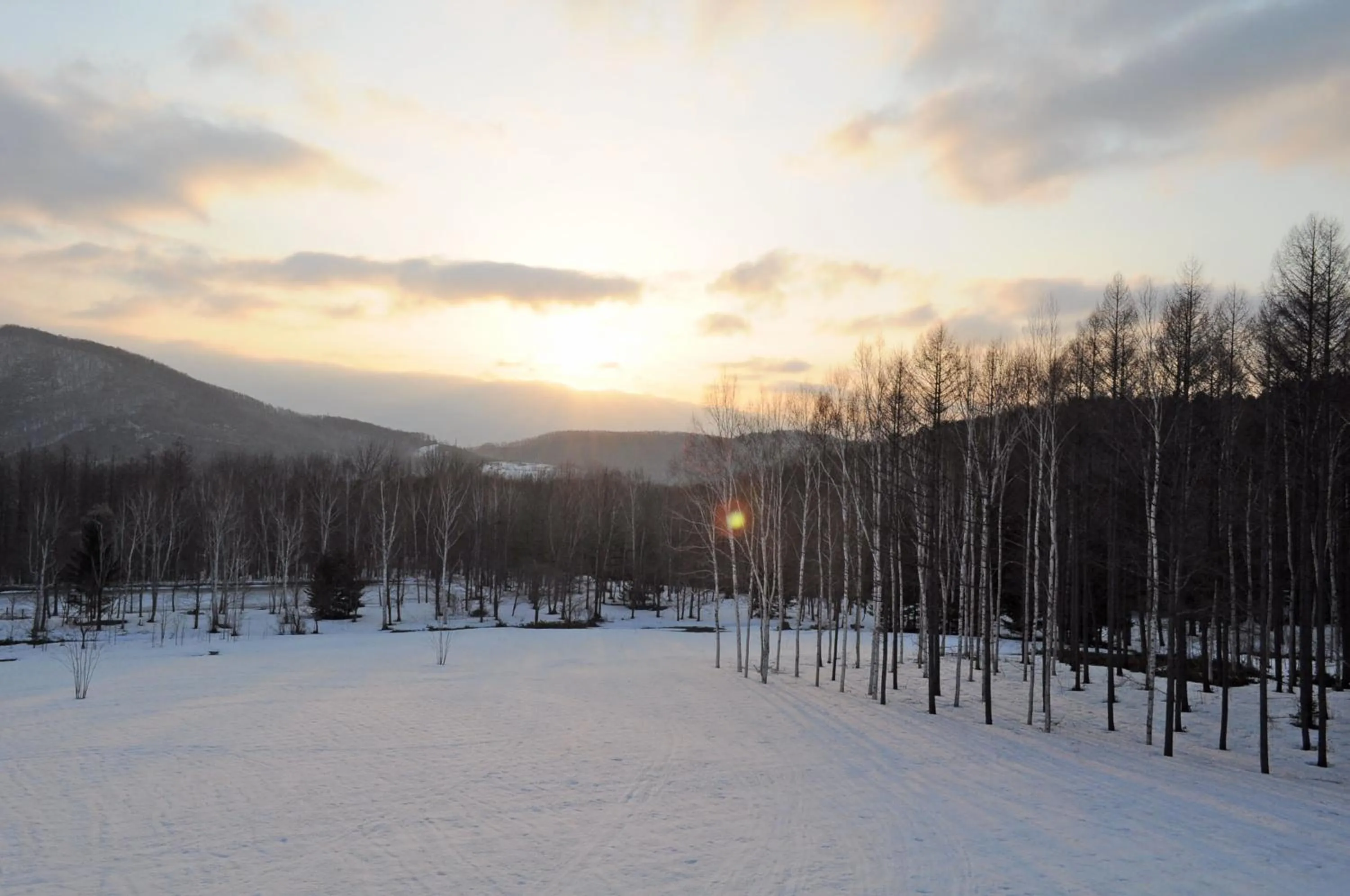 View (from property/room) in Highland Furano