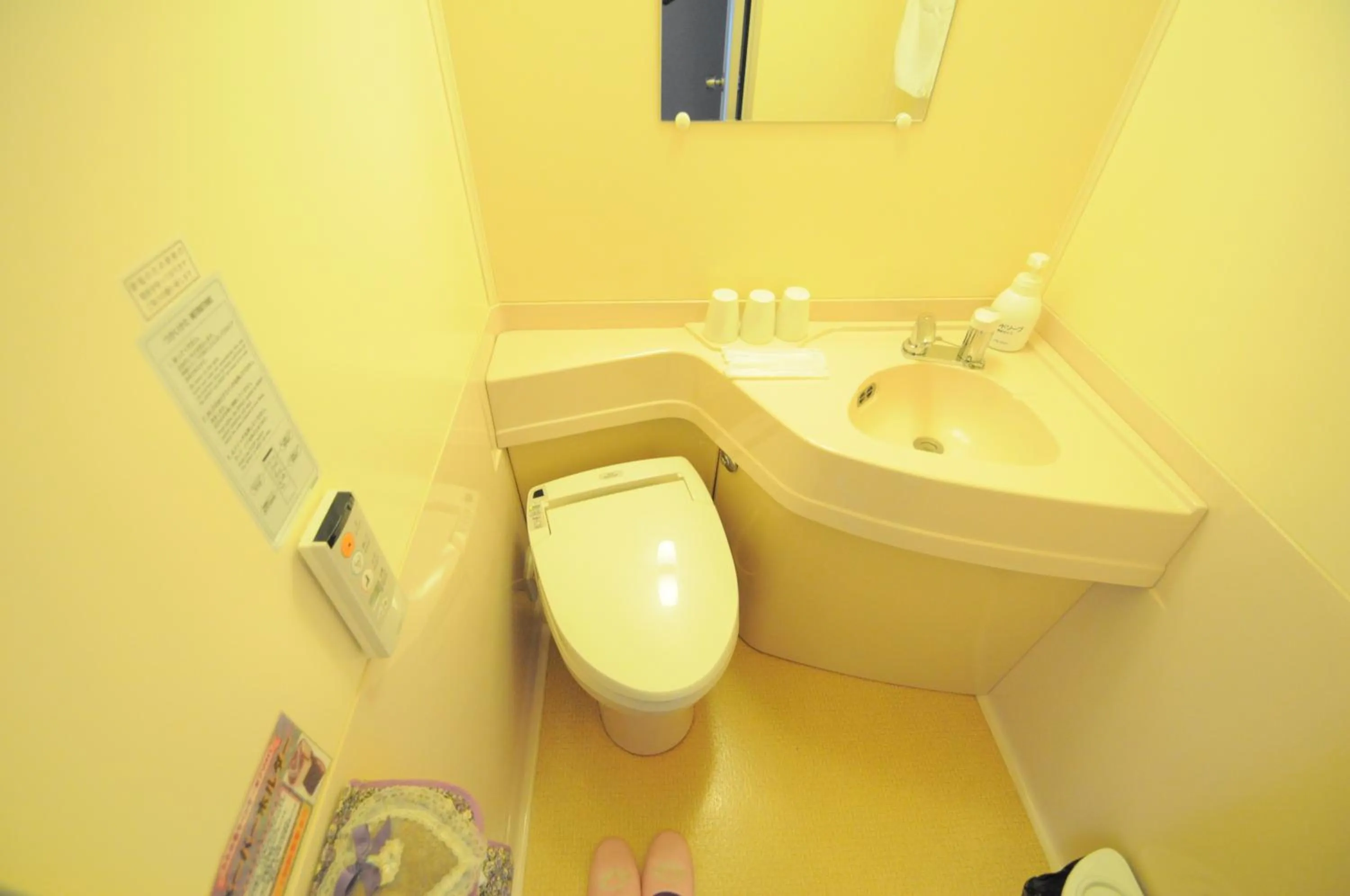 Toilet in Highland Furano