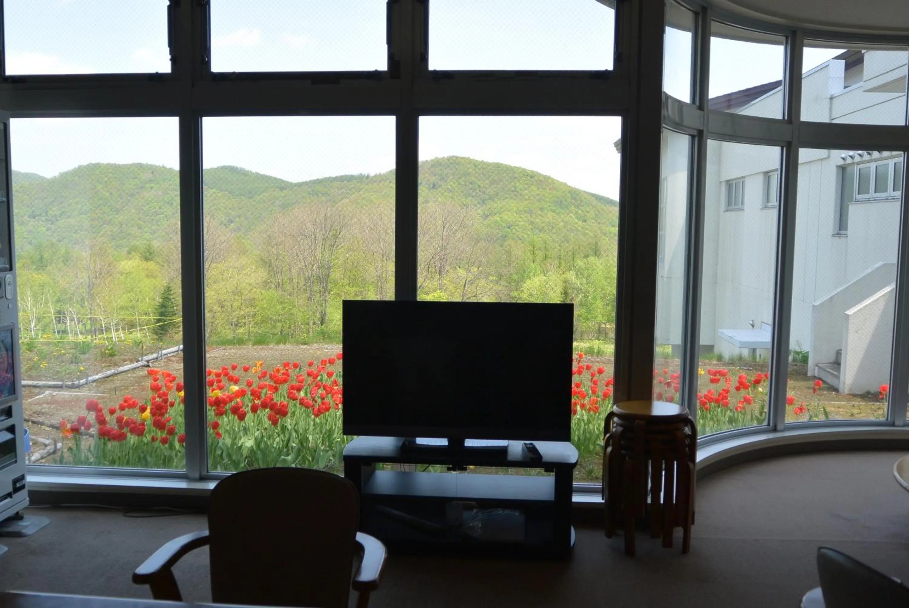 View (from property/room) in Highland Furano