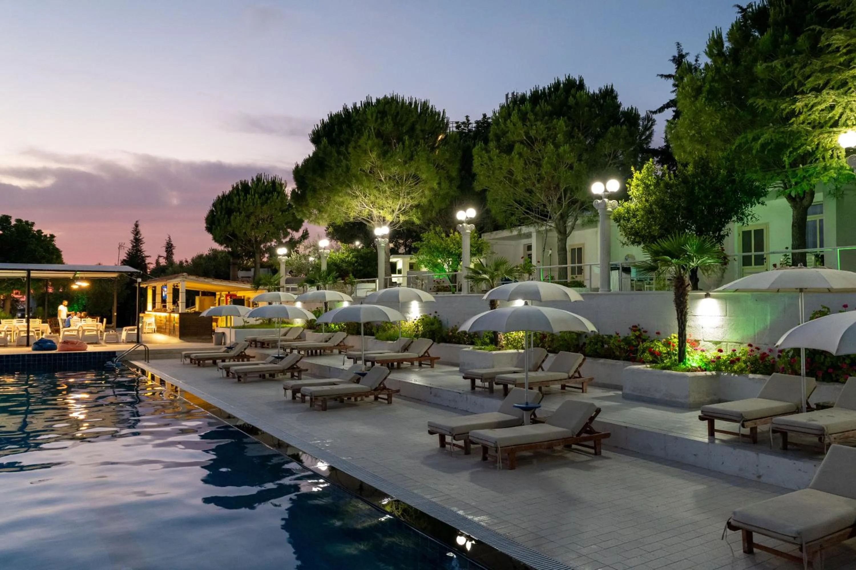 Night in Edva Resort