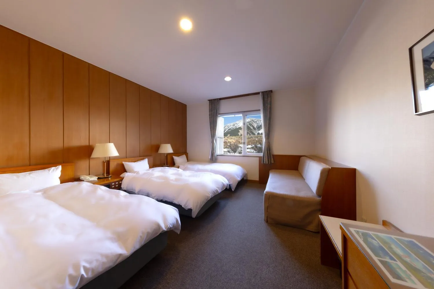 Photo of the whole room in Hotel Tateyama