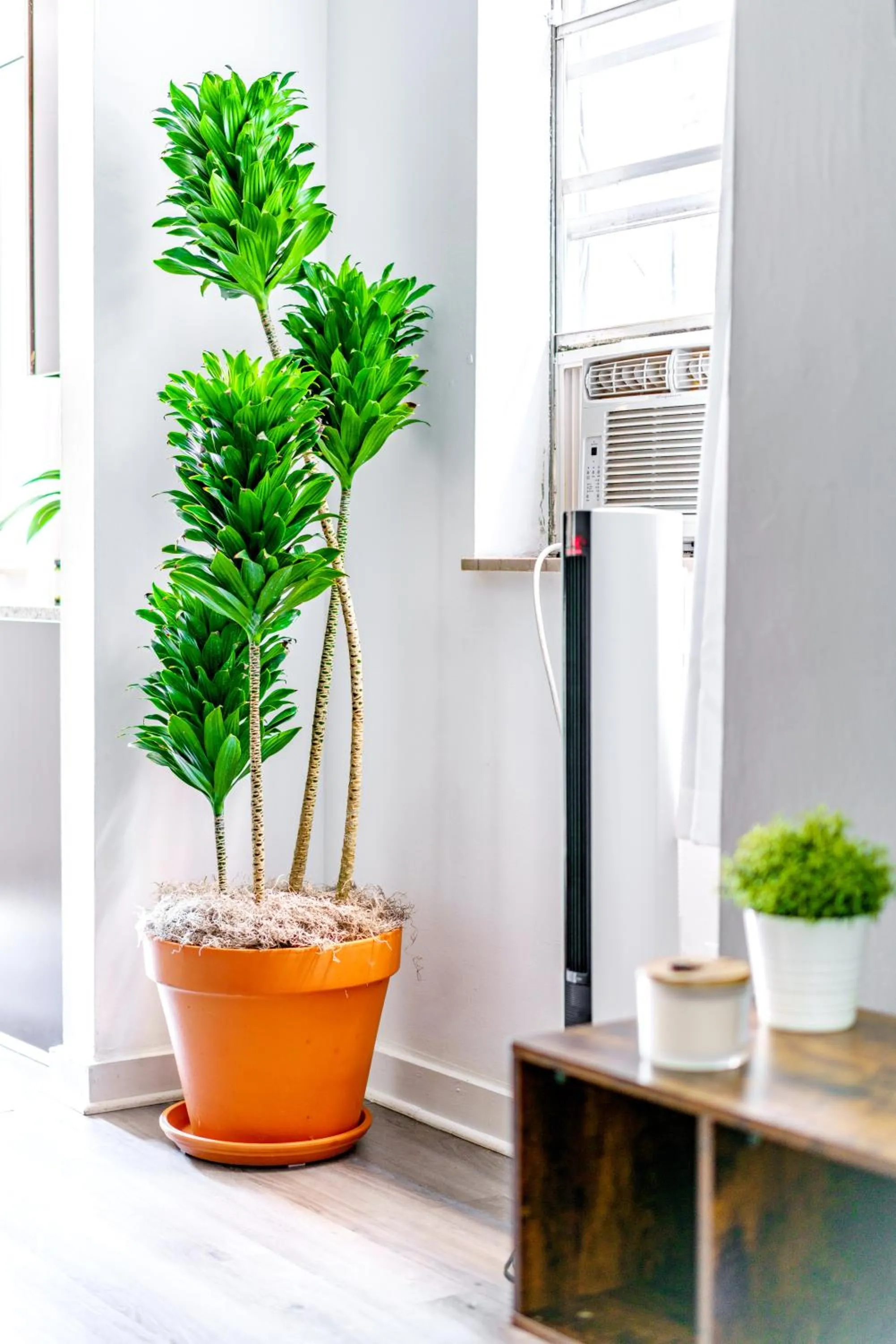 air conditioner in Jungle House Modern Lofts - Arena District & Short North