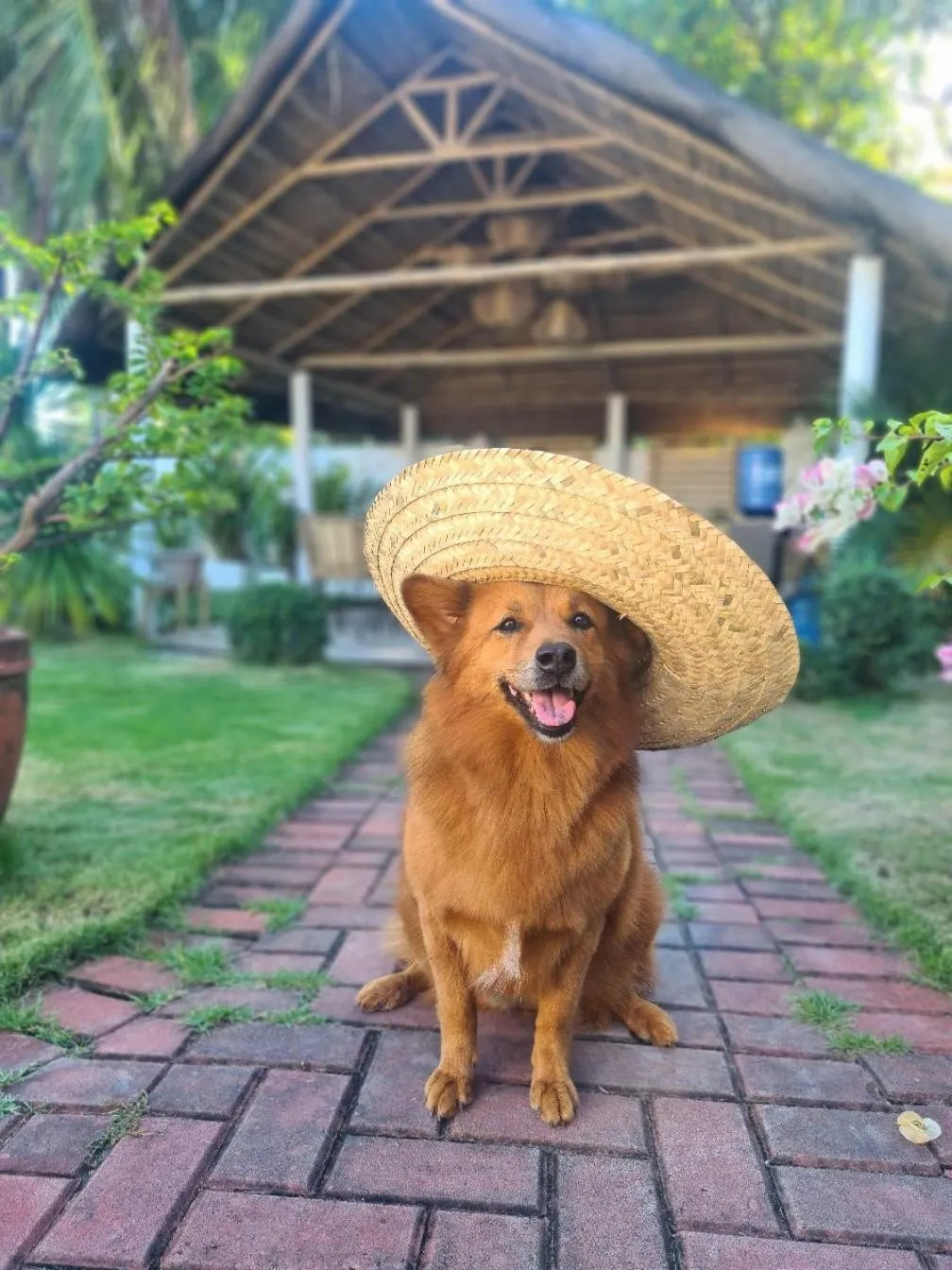 Day in 148 Guesthouse and Resort