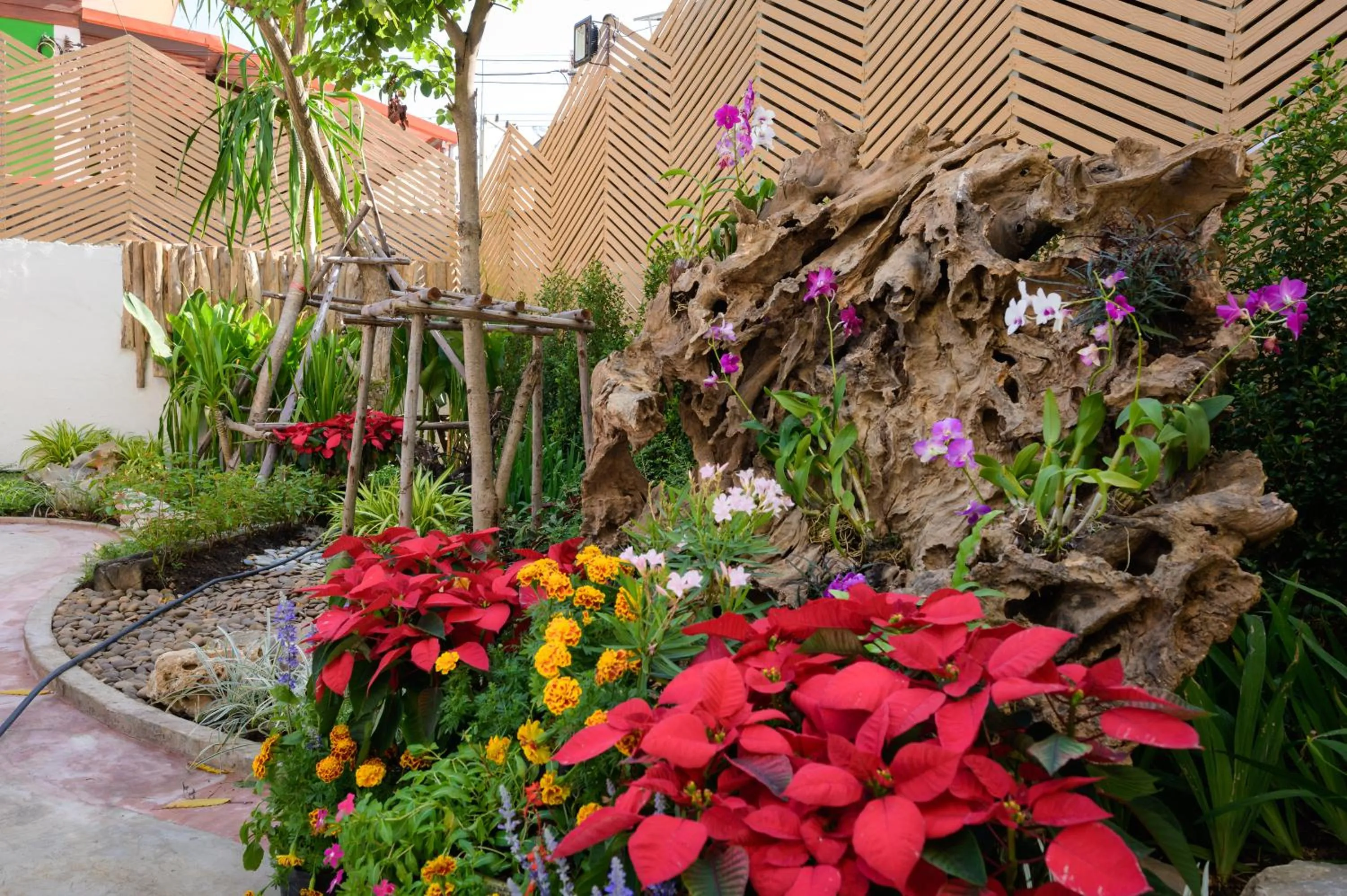 Garden in Nan Chao Hotel