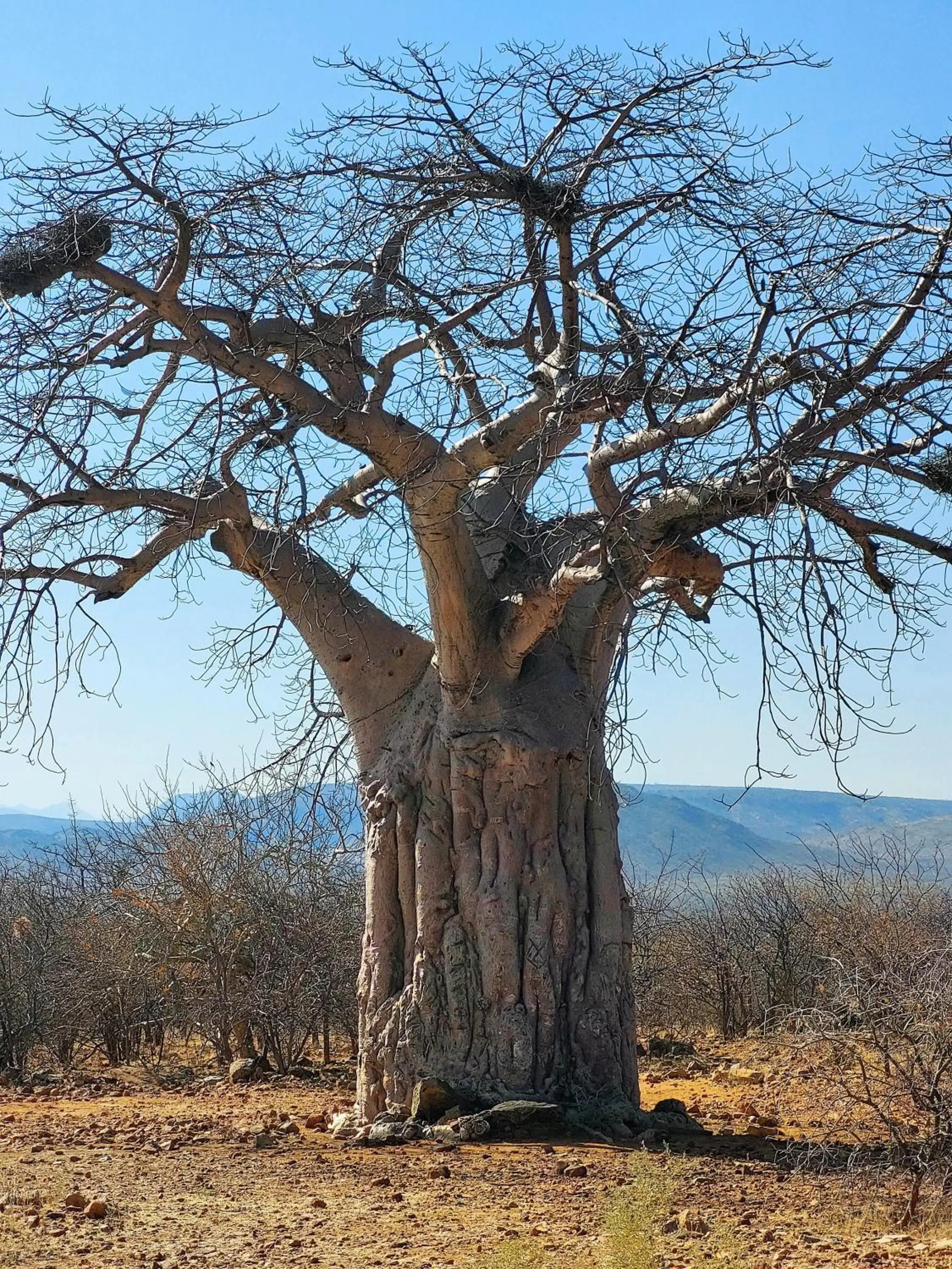 Activities in Opuwo Country Lodge