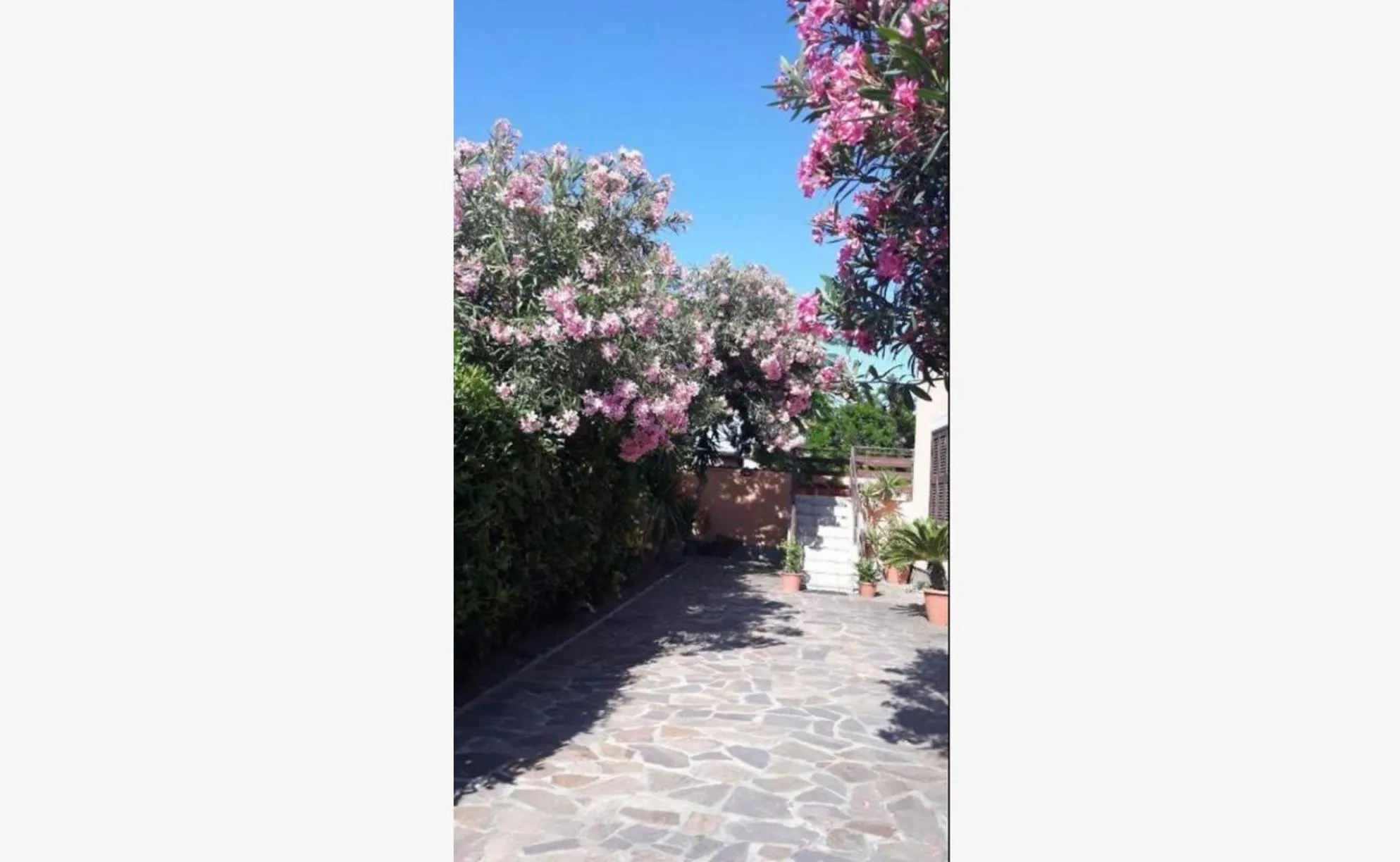 Spring in Sabrina Airport