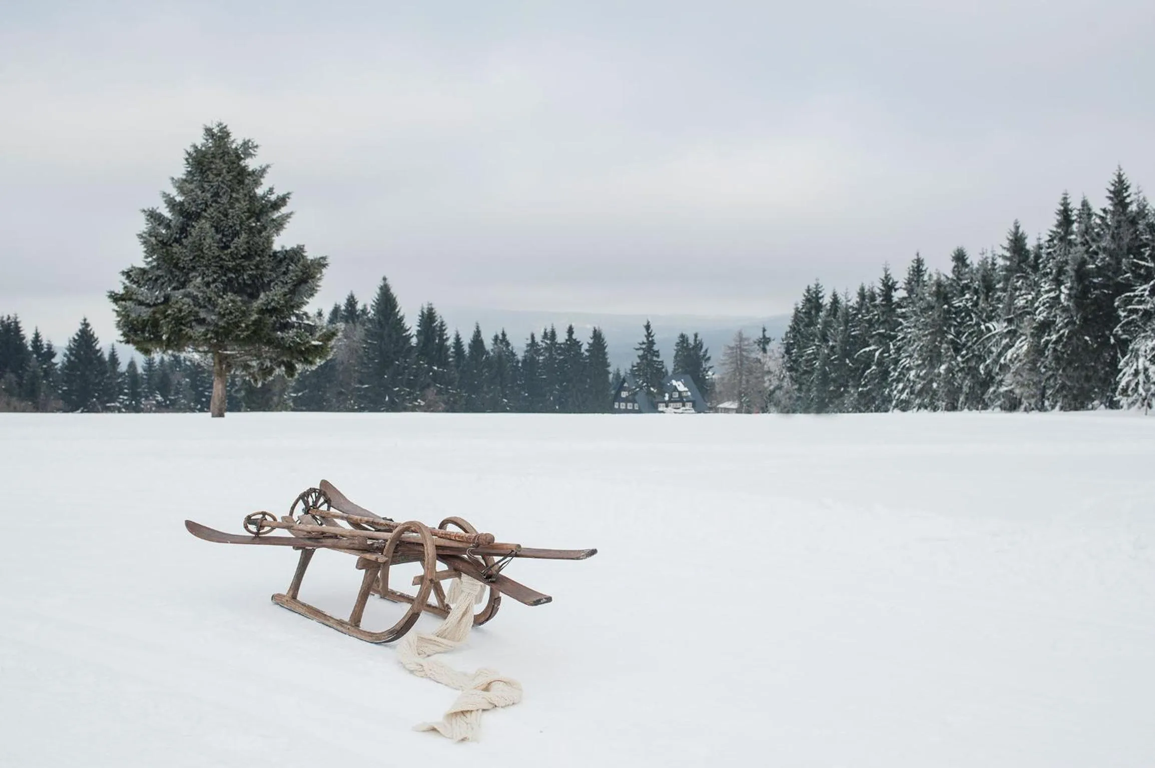 Facade/entrance in Prezidentská