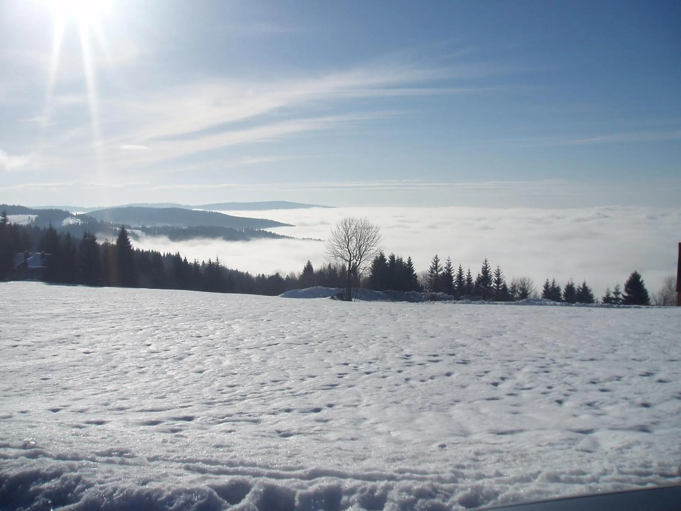 Neighbourhood in Prezidentská