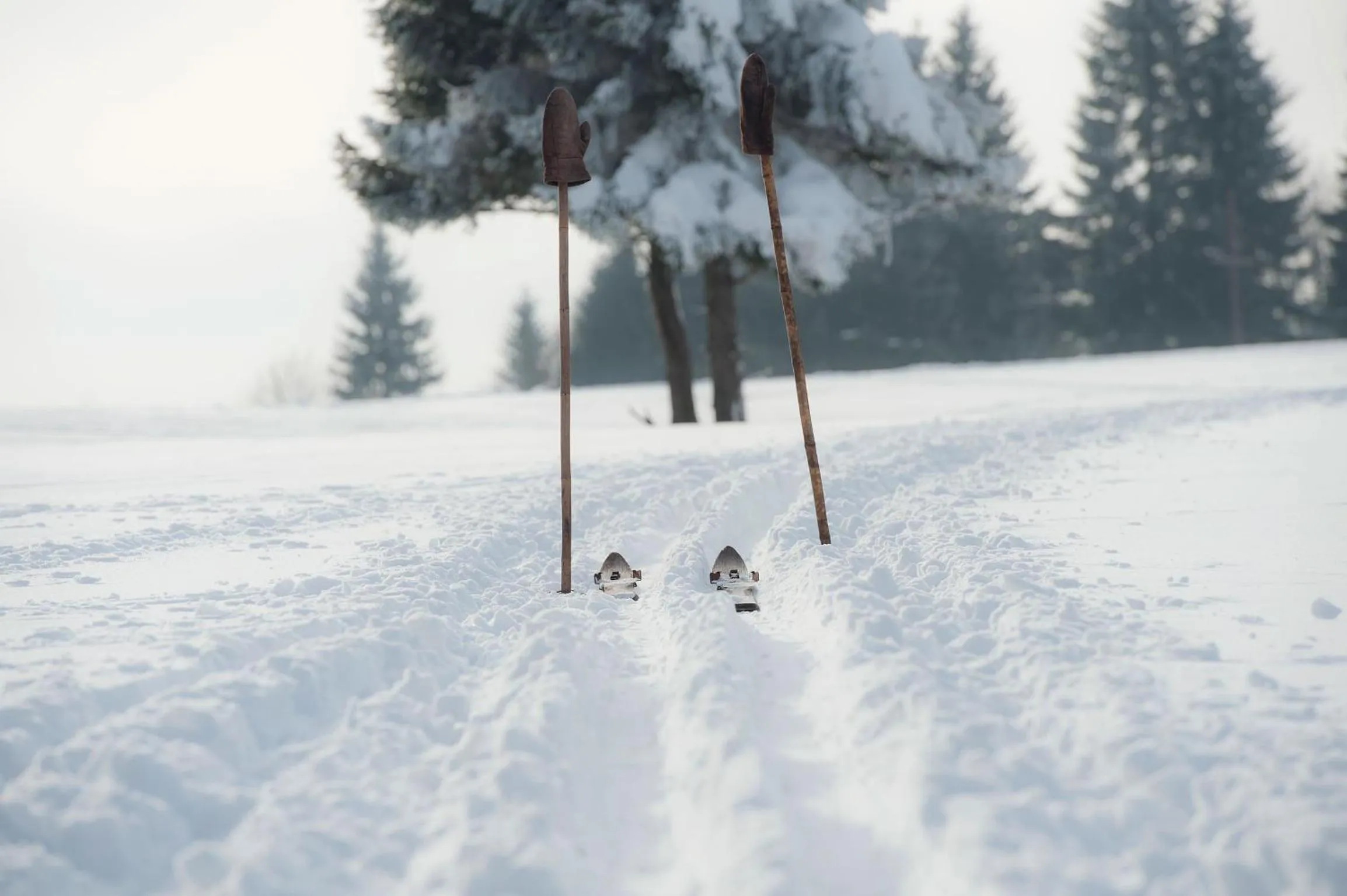 Day in Prezidentská