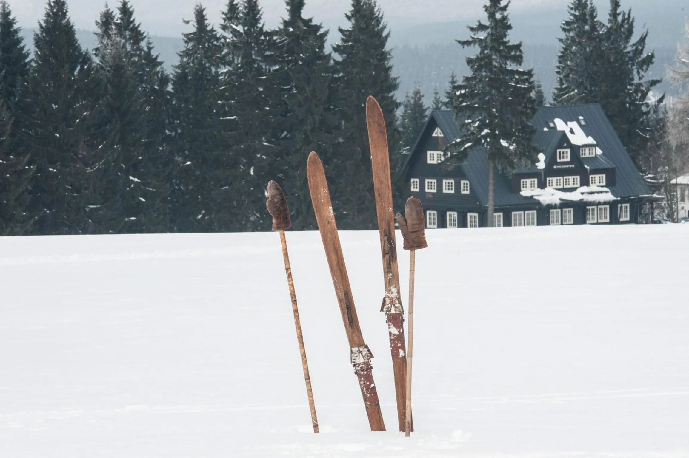 Facade/entrance in Prezidentská