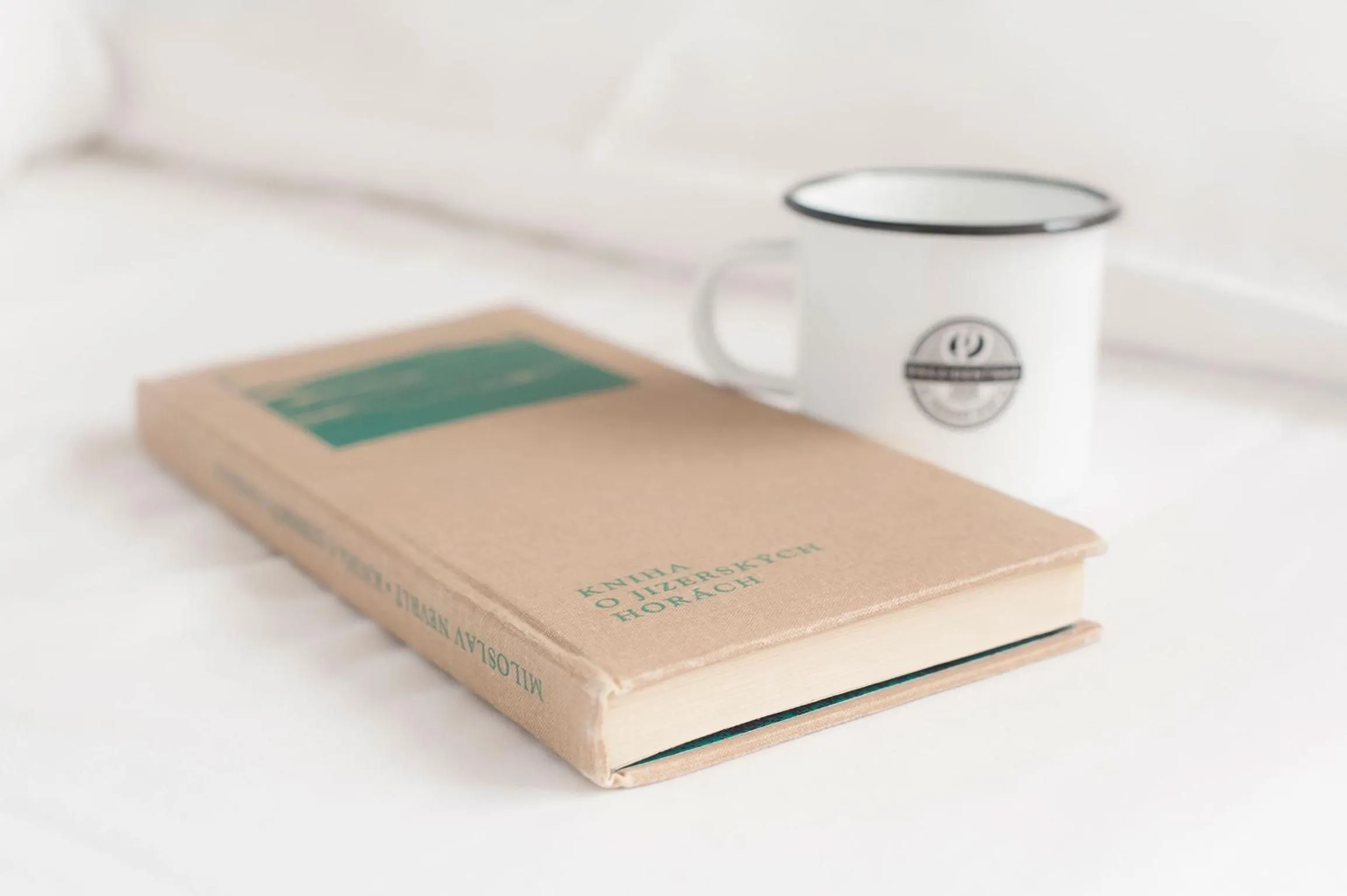 Decorative detail in Prezidentská