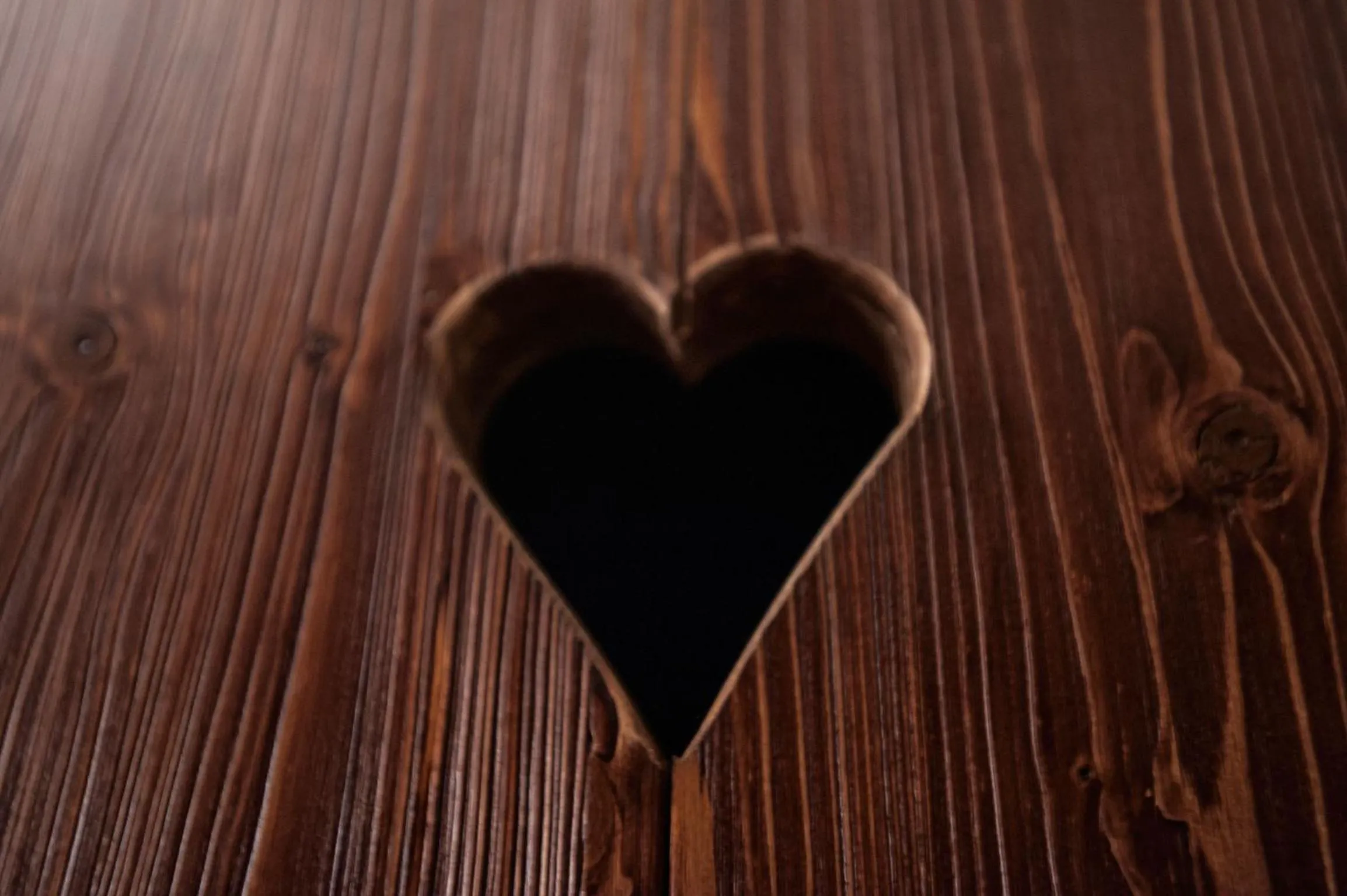 Sauna in Prezidentská