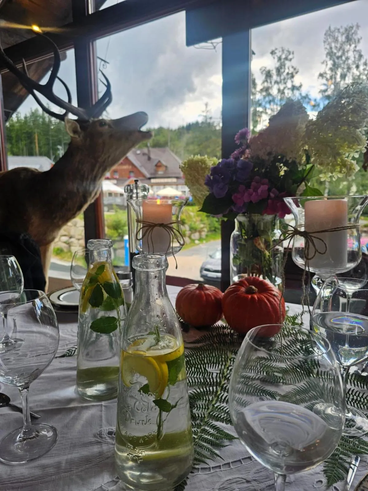 Restaurant/places to eat in Rezydencja Biały Jar