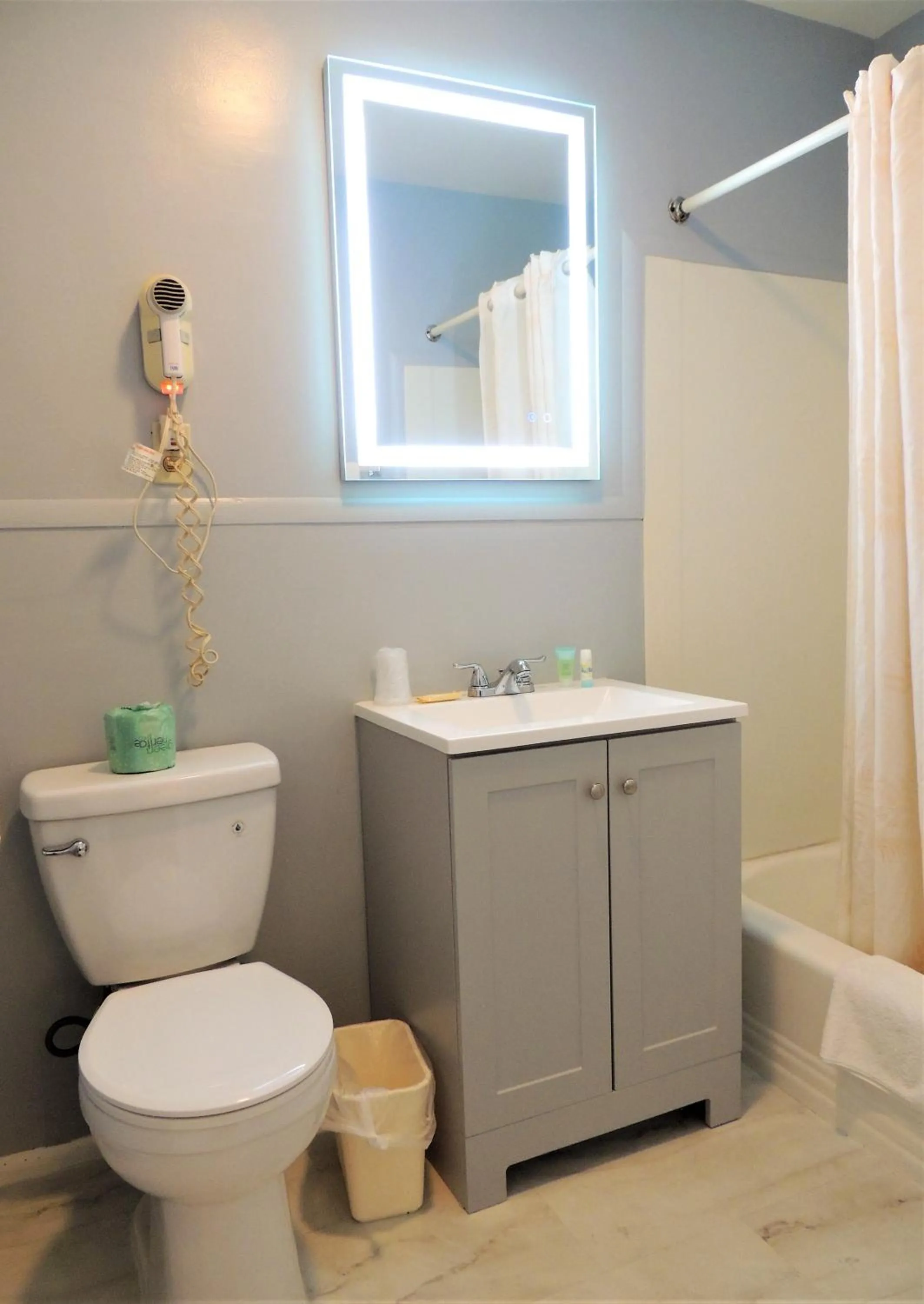 Toilet in Windsor Motel