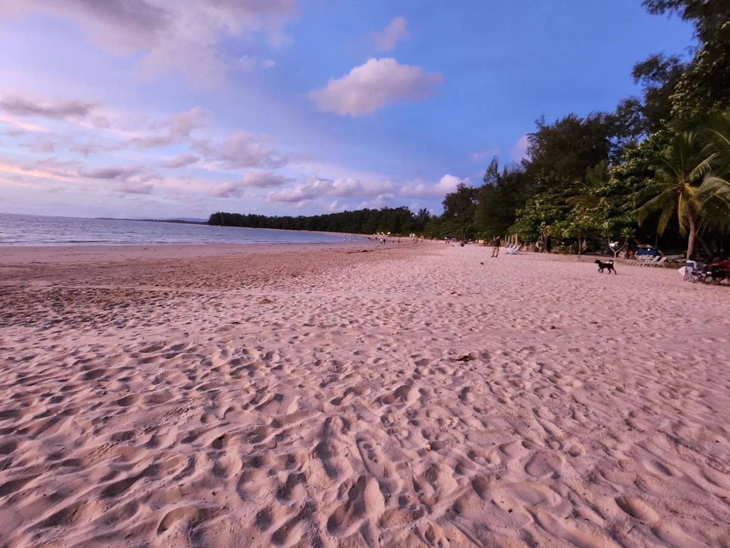 Natural landscape in STAYHERE@AIRPORT SERVICE APARTMENT