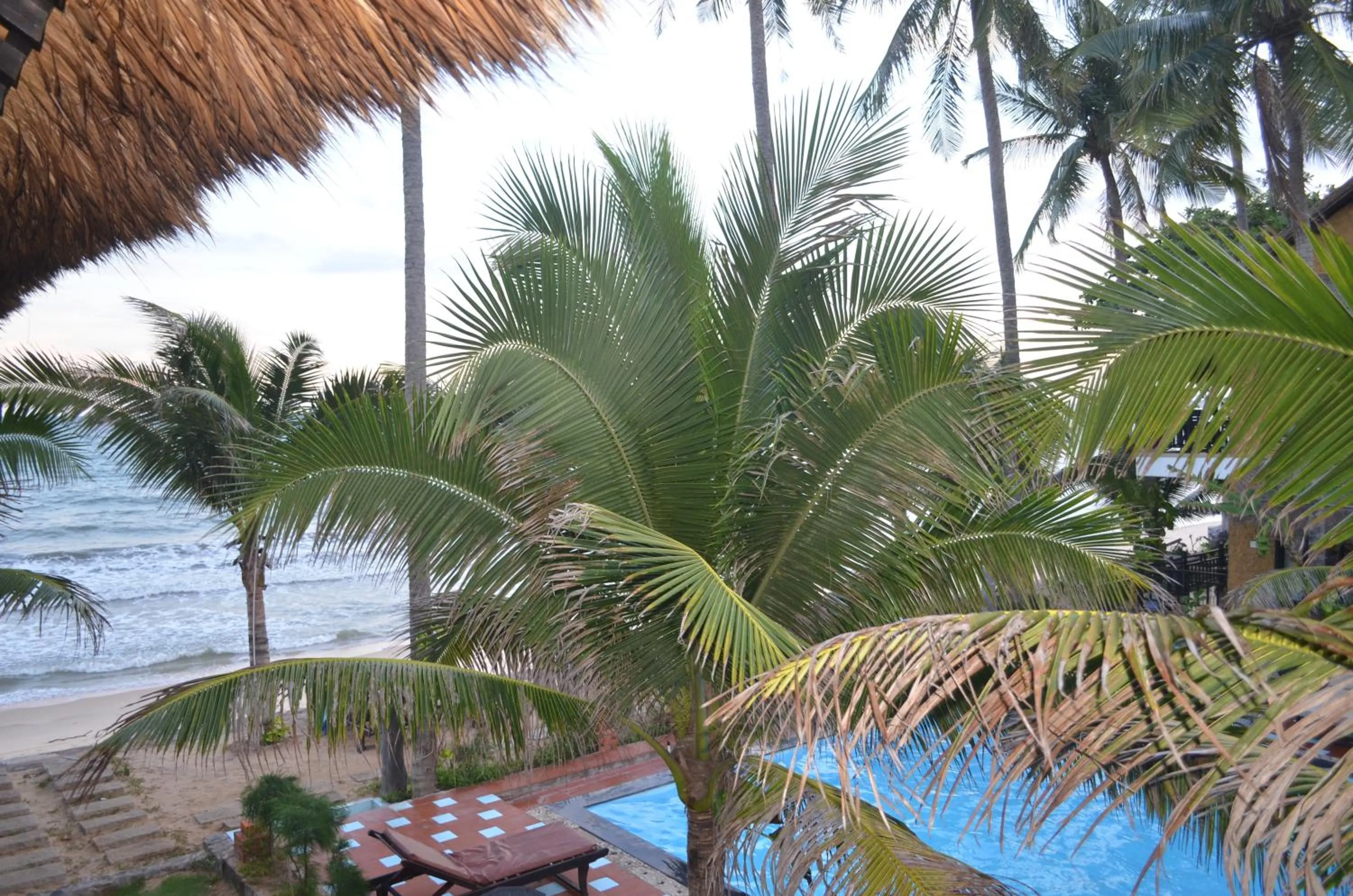 Garden view in Rang Garden Beach Side