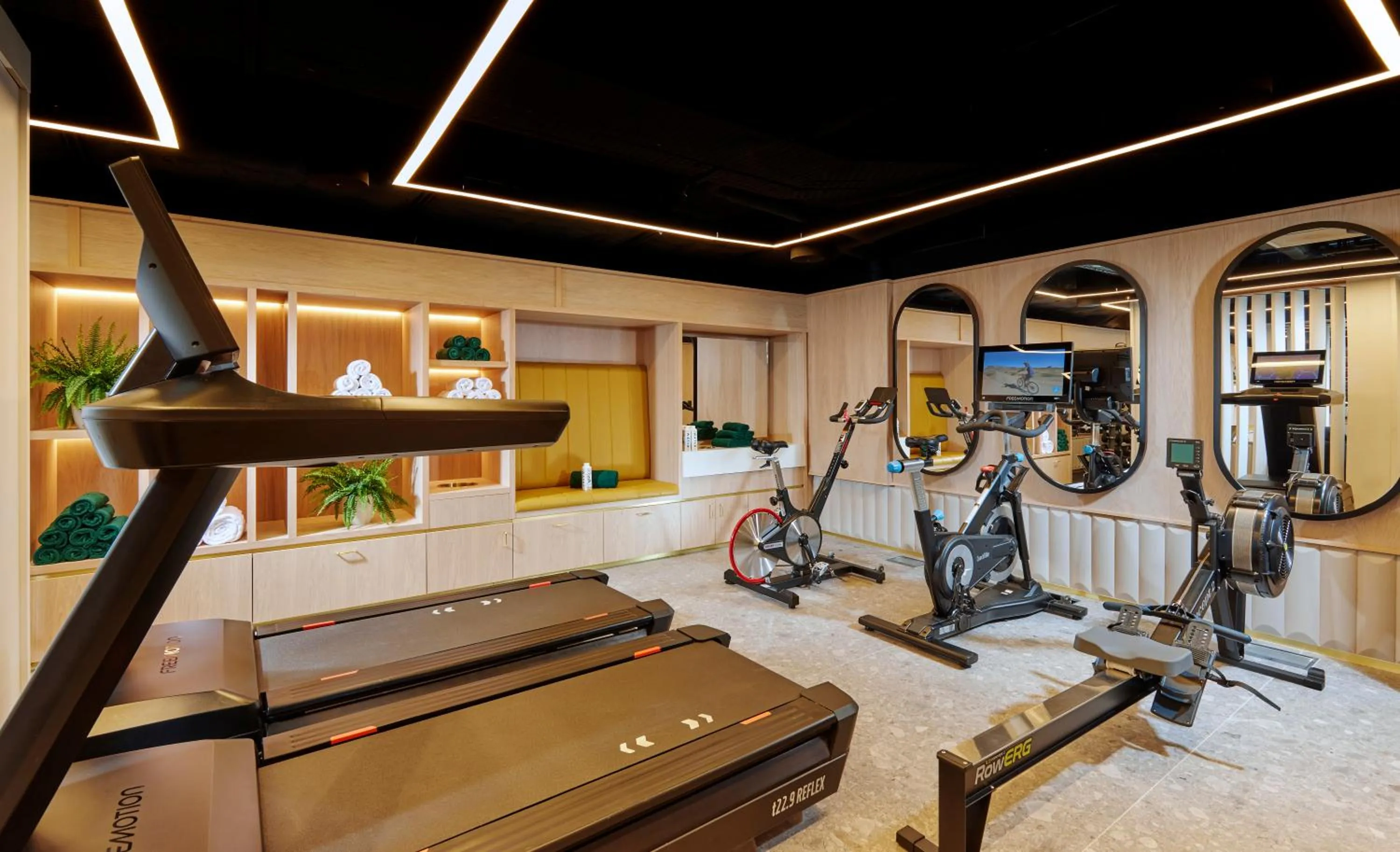 Fitness centre/facilities in The Chancery Hotel